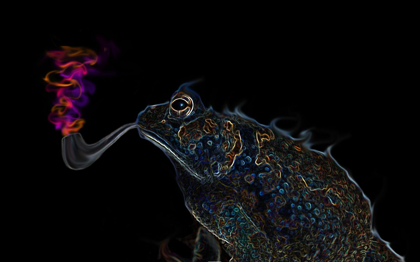 psychedelic, artistic, frog