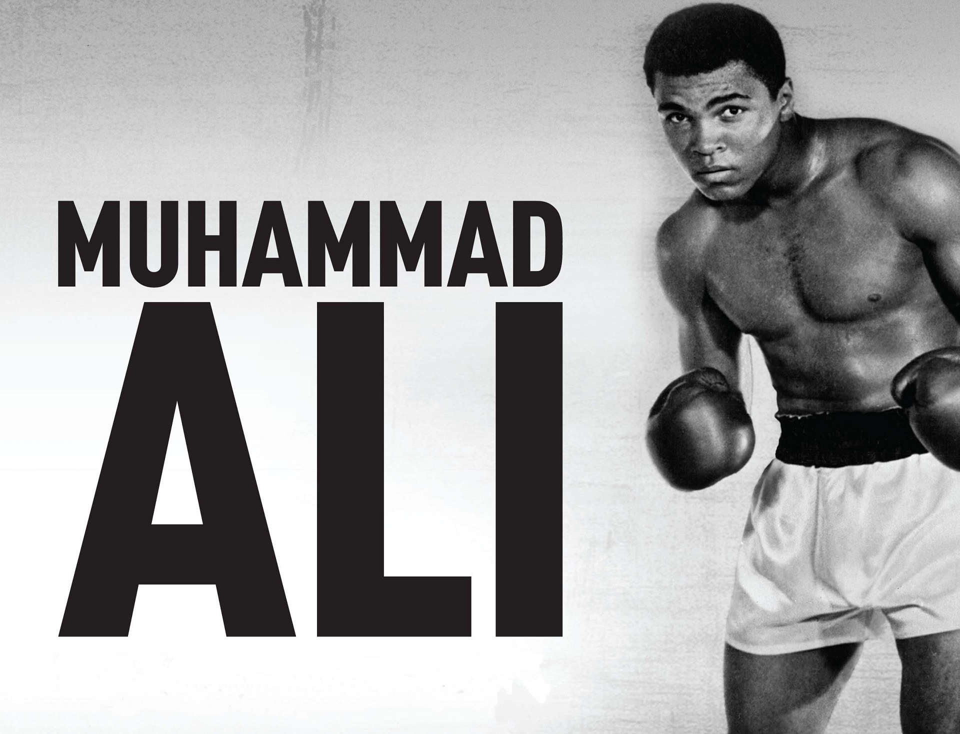 Muhammad Ali  4k Wallpaper