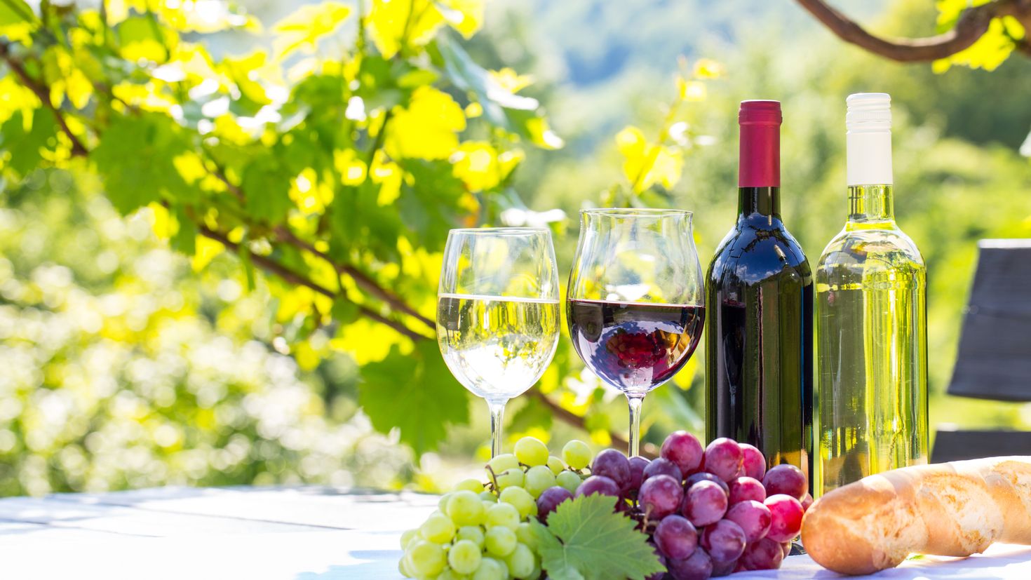 вино и виноград картинки