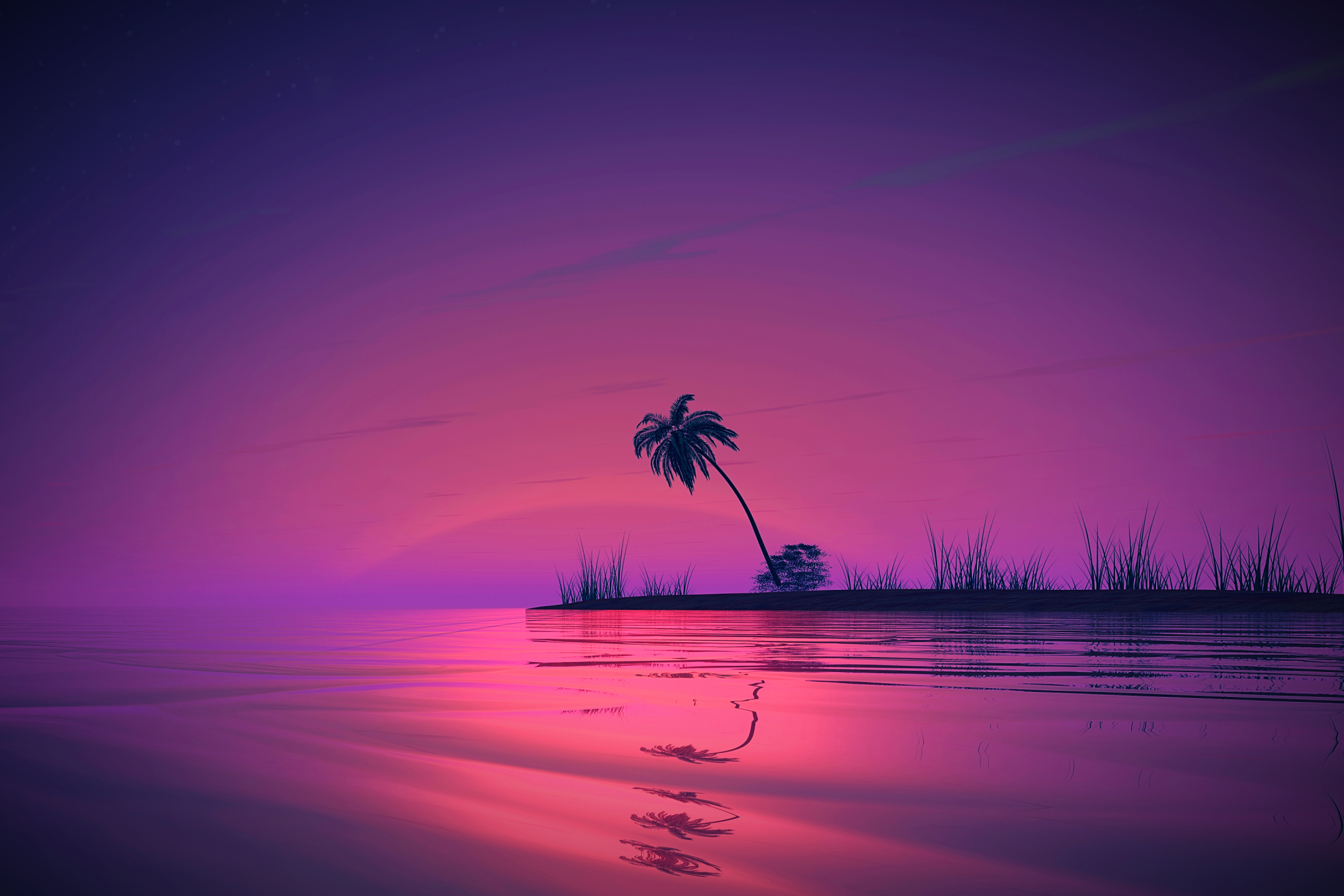 Пальмы отражение закат