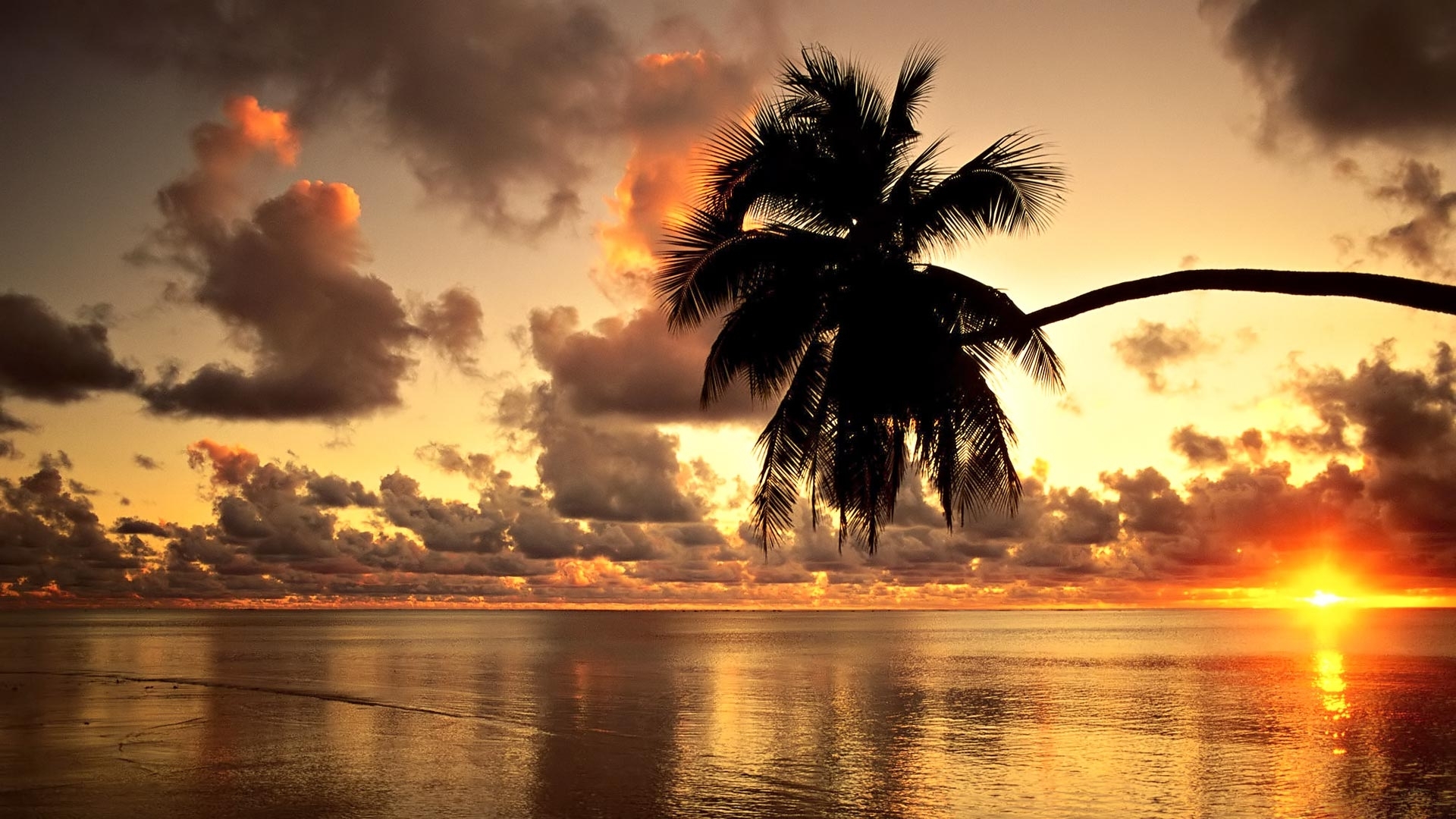 38832 descargar imagen playa, paisaje, puesta del sol, naranja: fondos de pantalla y protectores de pantalla gratis