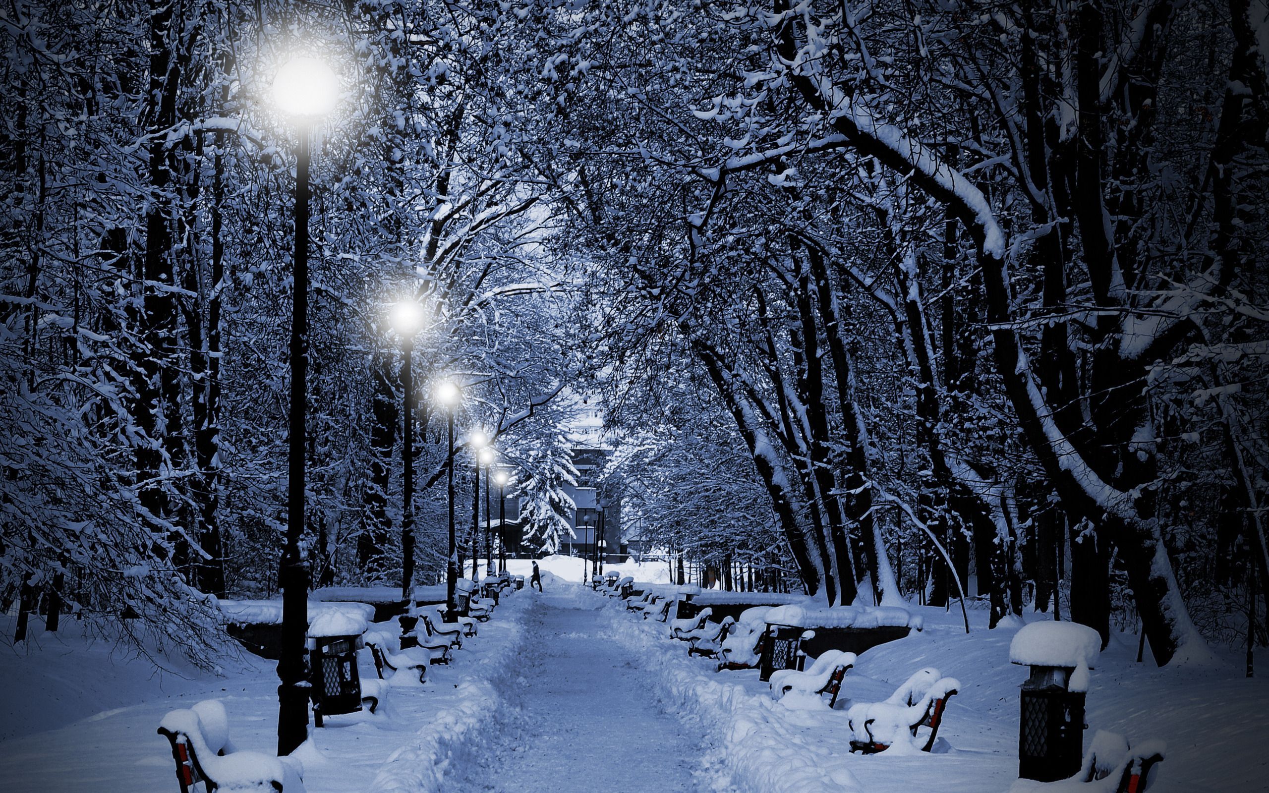 Free download wallpaper Landscape, Winter, Snow on your PC desktop
