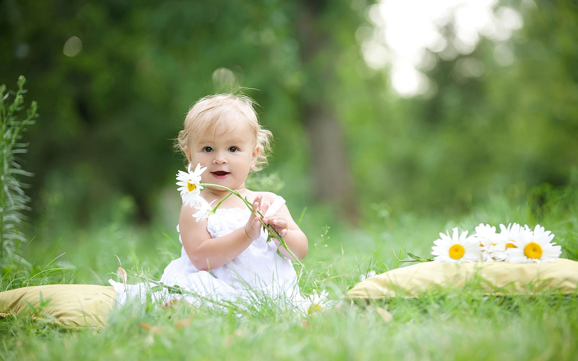 chamomile, photography, child, flower, mood Full HD