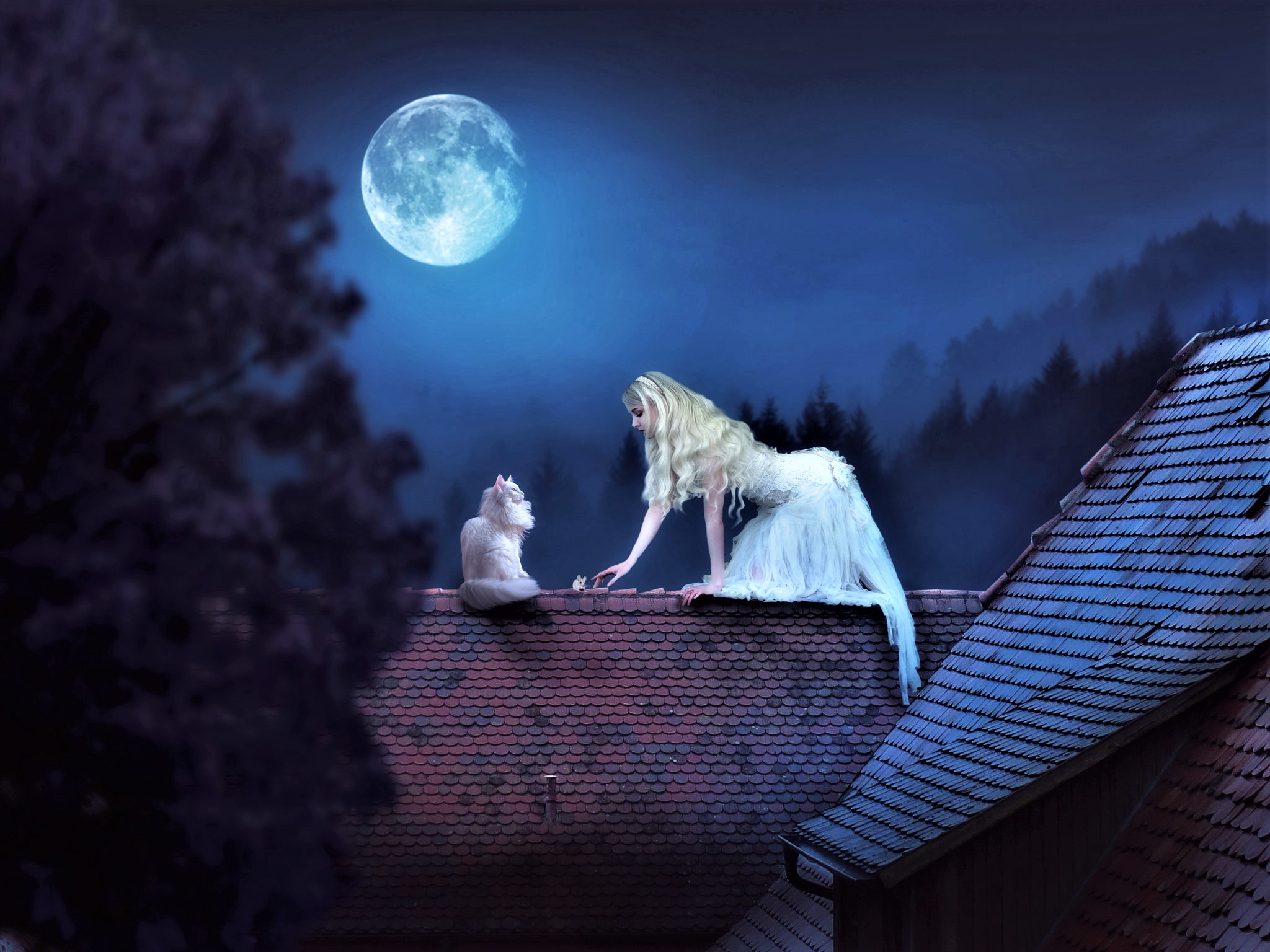 moon, fantasy, women, blonde, cat, night, roof wallpaper for mobile