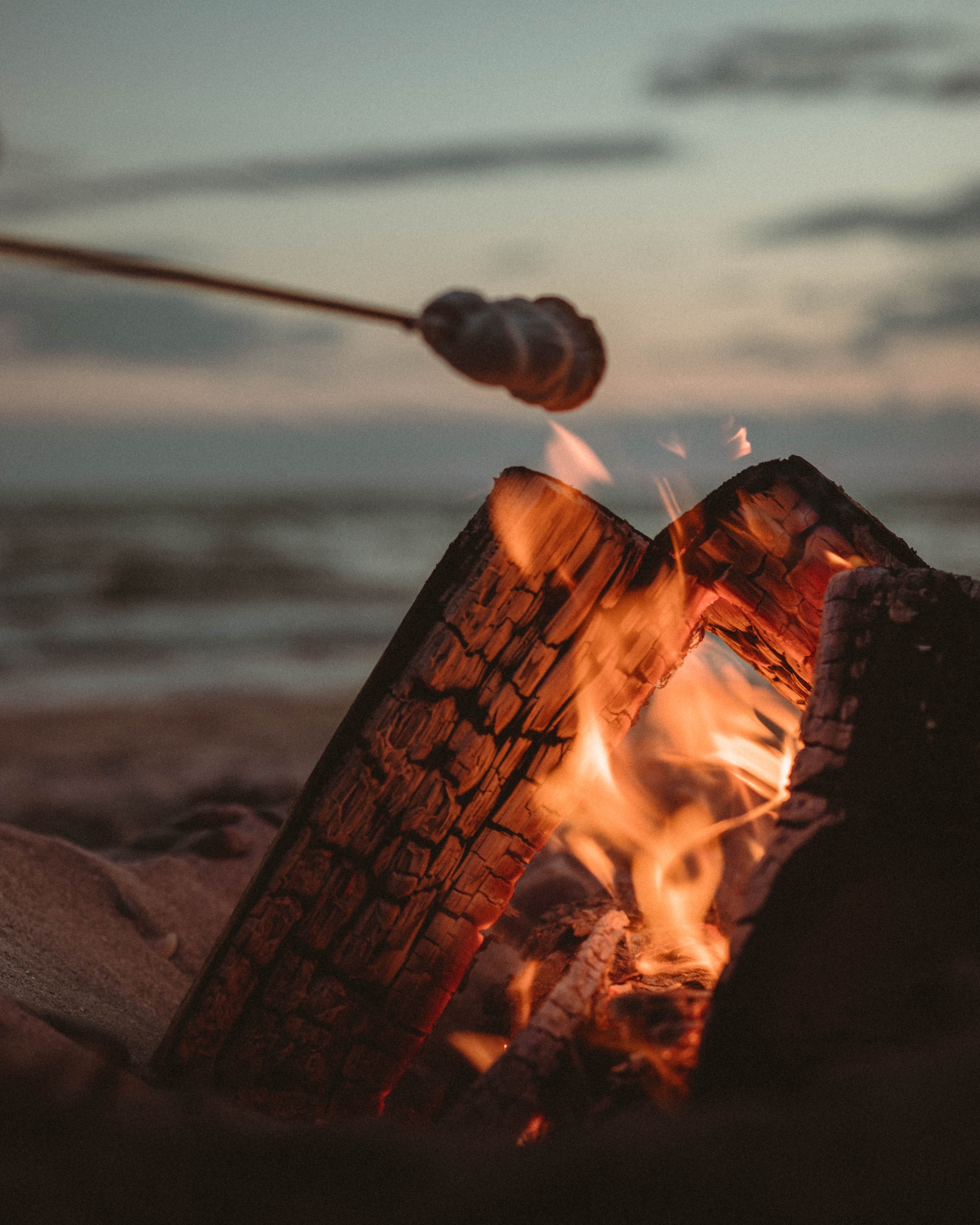 bonfire, zephyr, fire, flame, miscellanea, miscellaneous, marshmallow, logs download HD wallpaper