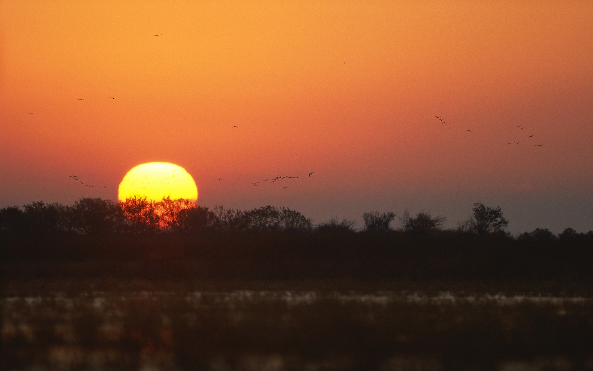 Download mobile wallpaper Sun, Sunset, Sky, Landscape for free.