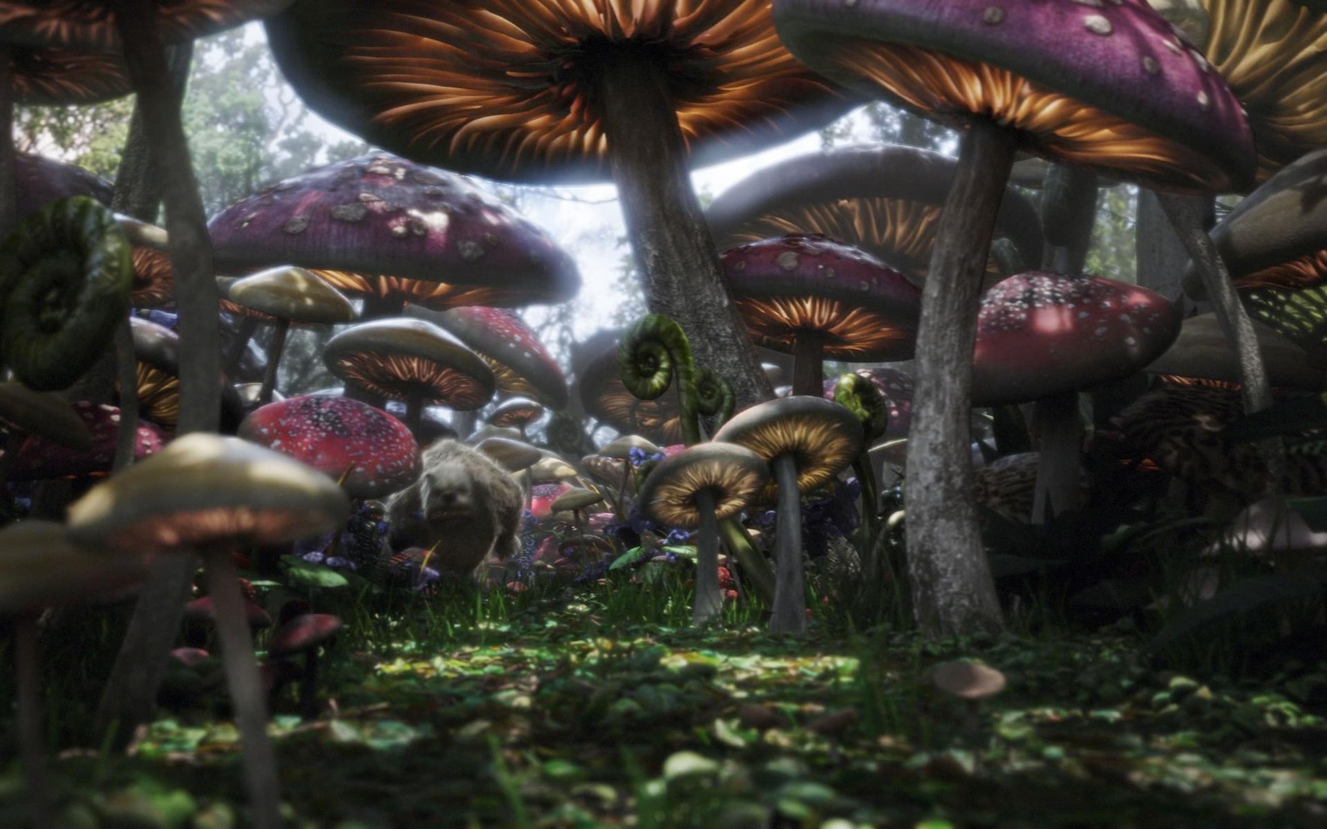 colorful, movie, alice in wonderland (2010), fantasy, forest, magic, mushroom images