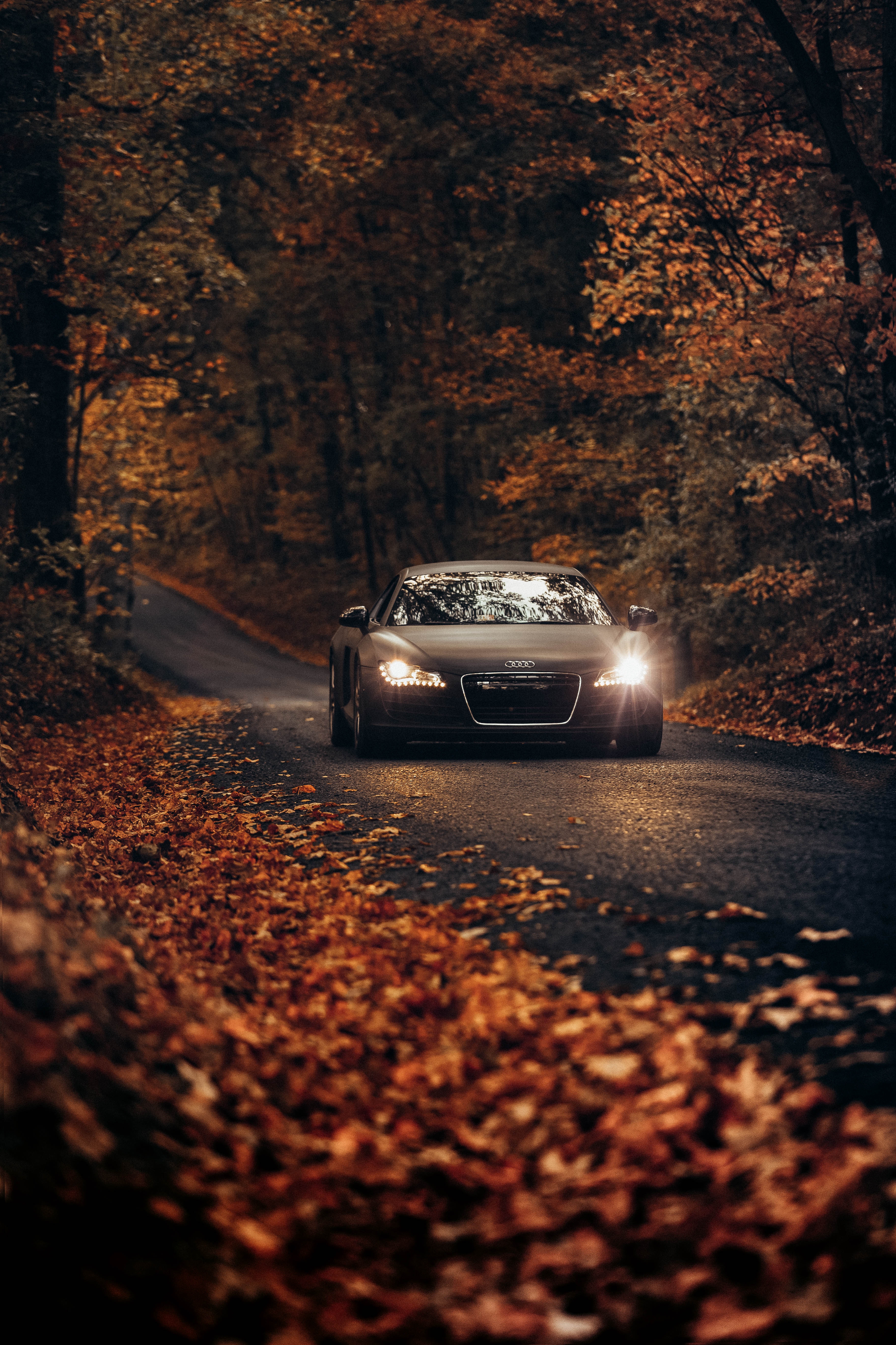 Download mobile wallpaper Cars, Audi, Asphalt, Autumn, Traffic, Movement, Audi Tt, Road for free.