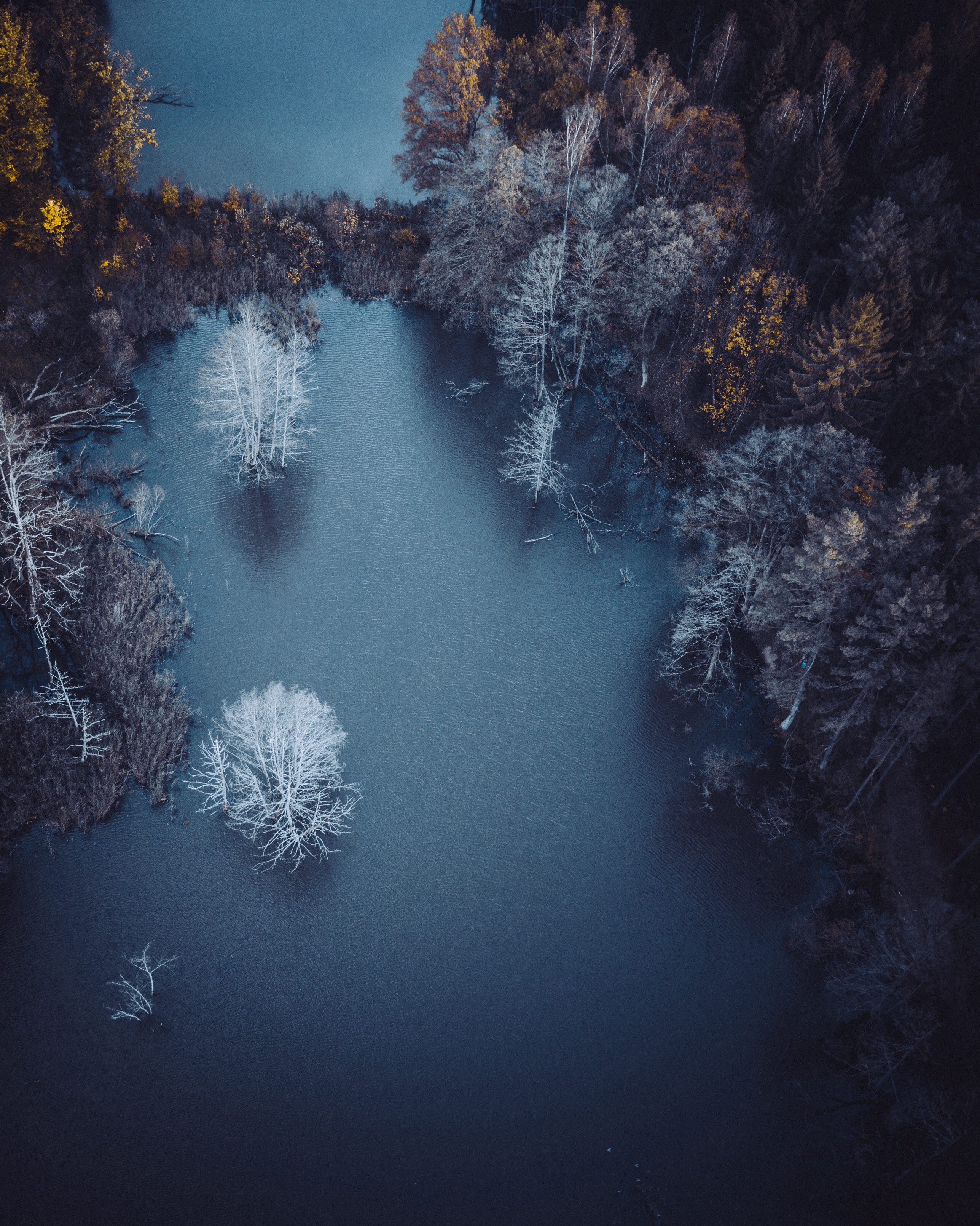 frost, nature, trees, autumn, view from above, lake, hoarfrost