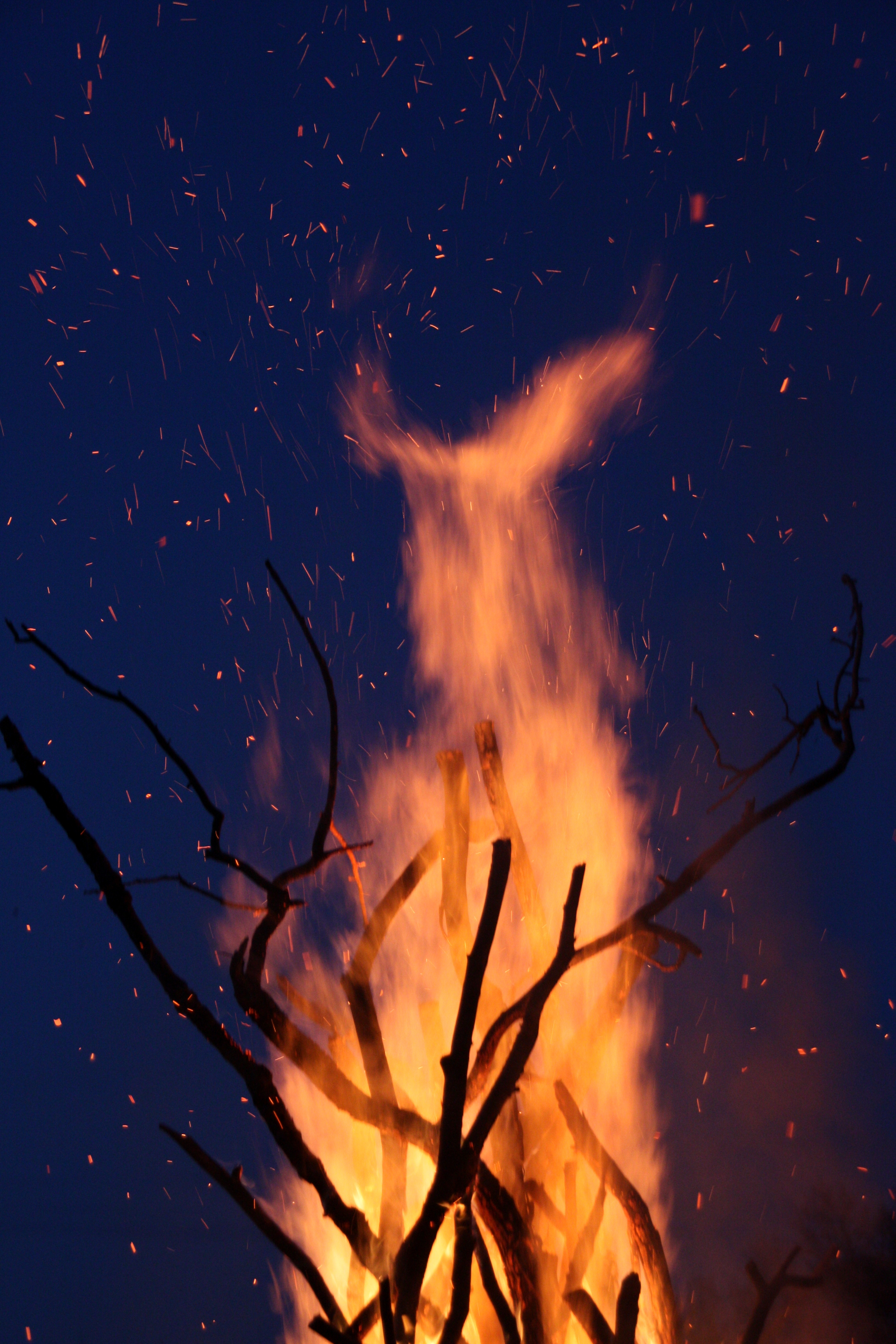 sparks, bonfire, fire, miscellanea, miscellaneous, branches images