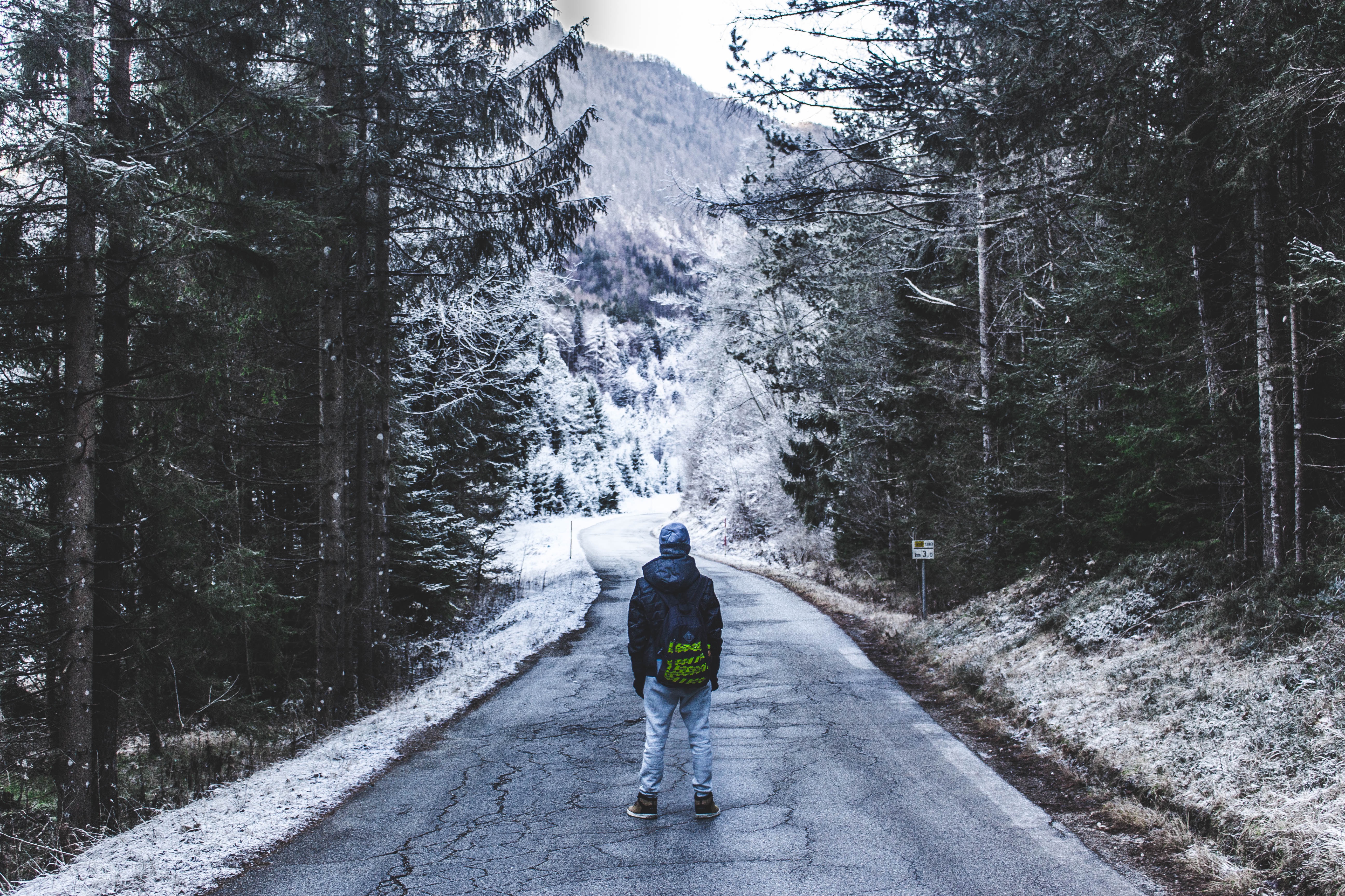 Download mobile wallpaper Stroll, Winter, Road, Forest, Nature, Loneliness for free.