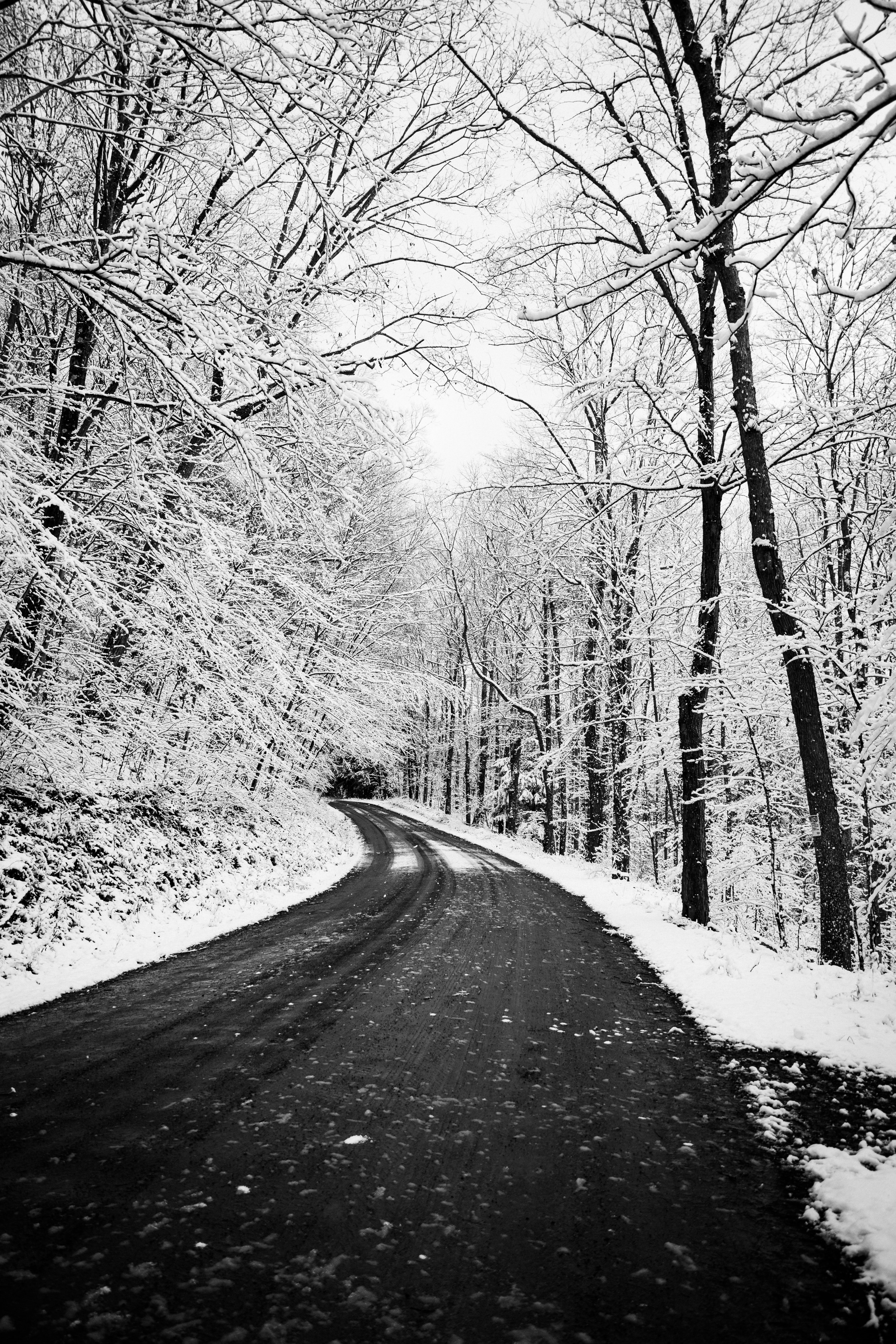126137 завантажити шпалери зима, природа, дерева, сніг, дорога, поворот, черга - заставки і картинки безкоштовно