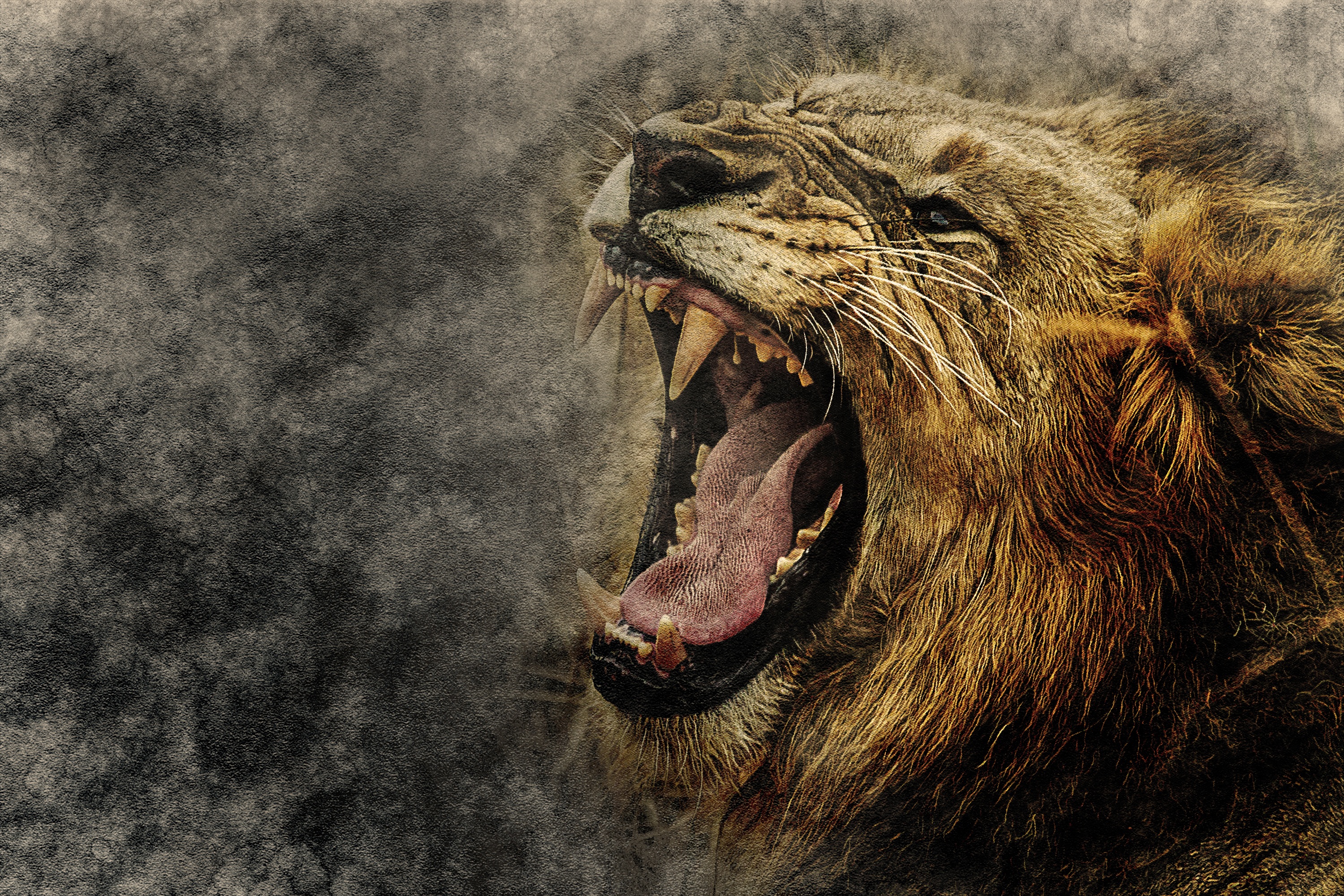 Download mobile wallpaper Animals, Grin, Muzzle, Lion, Art for free.