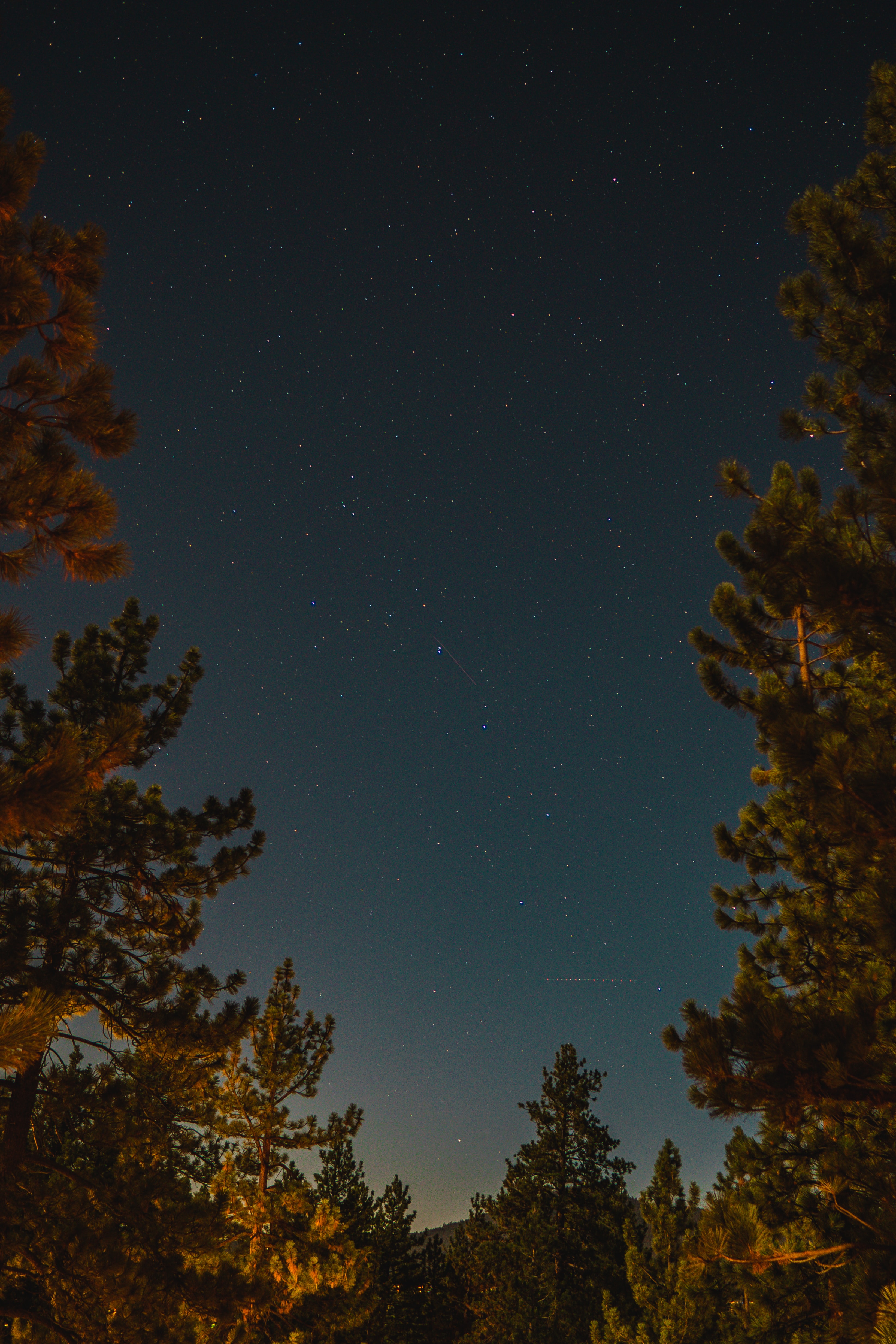 Free download wallpaper Nature, Stars, Night, Starry Sky, Branches, Spruce, Fir on your PC desktop