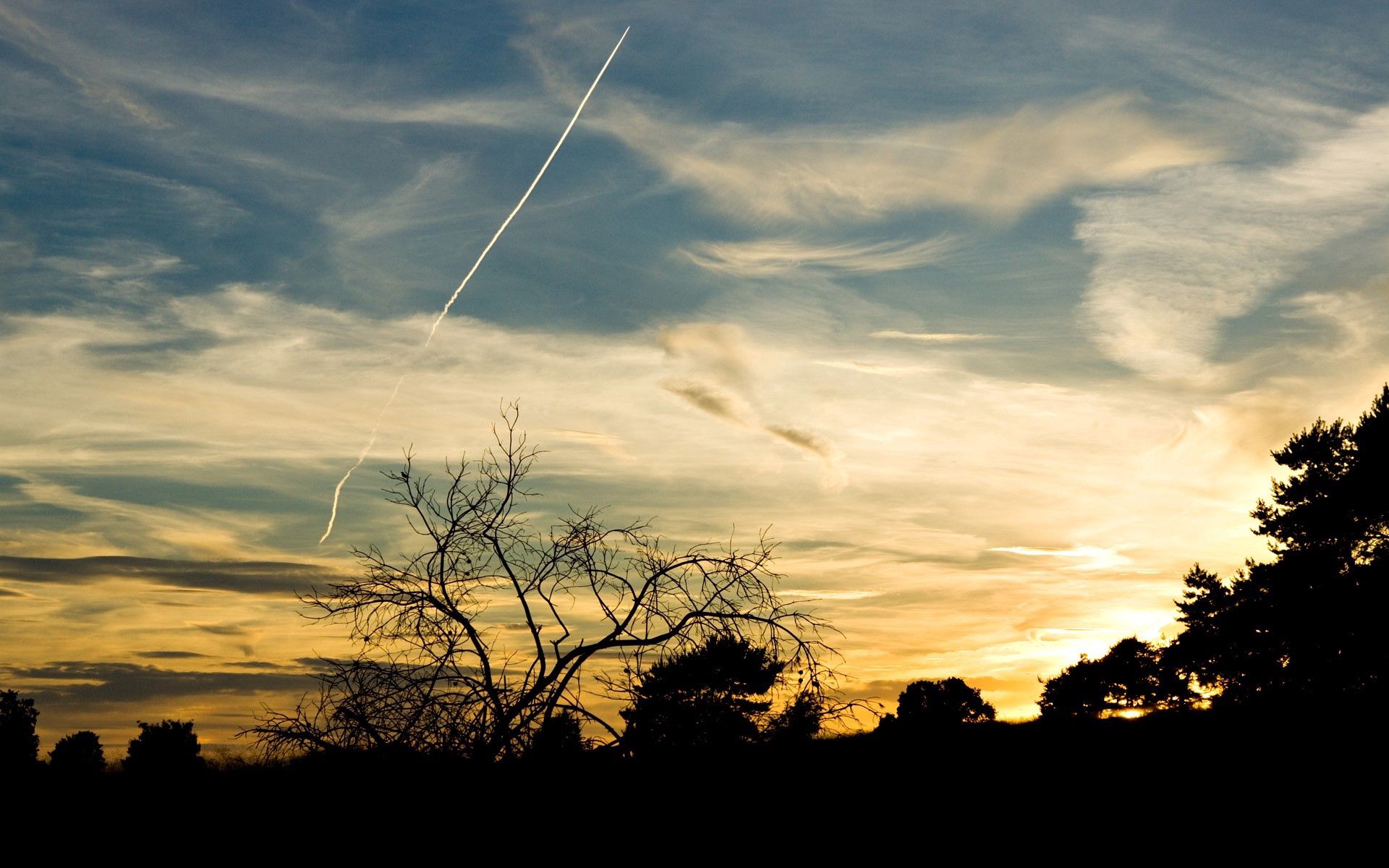 plane, nature, trees, sky, twilight, silhouettes, dusk, evening, airplane, traces 1080p