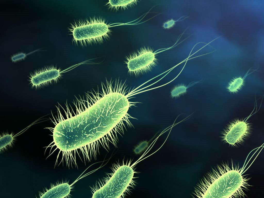 bacteria, artistic, microbe