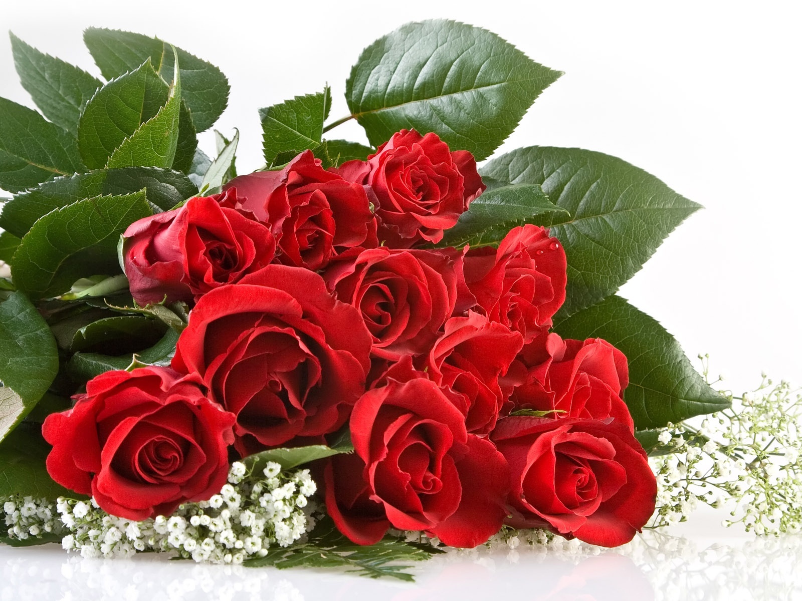 holidays, flowers, roses, plants, bouquets, red Full HD