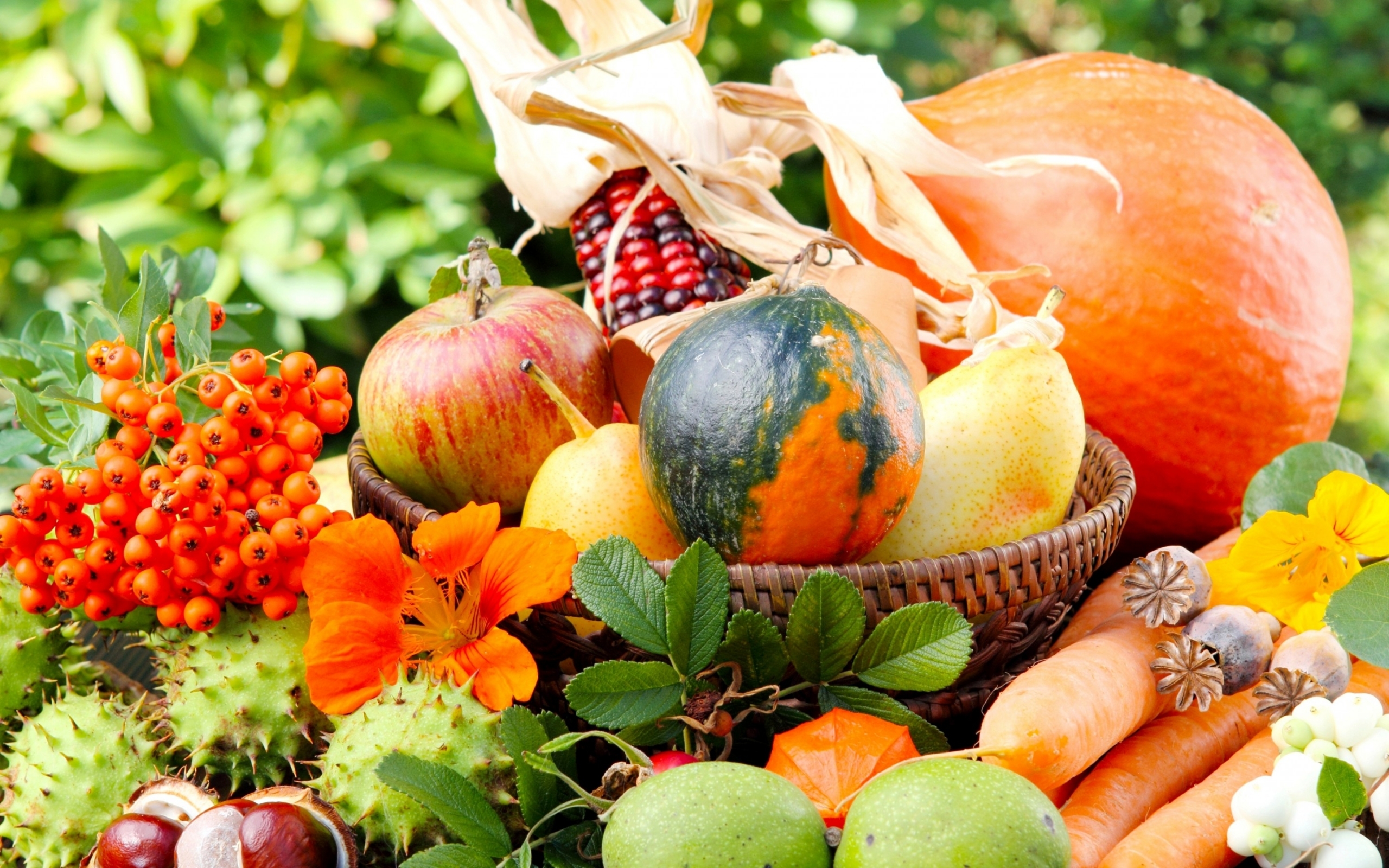 免费下载水果, 食物, 蔬菜手机壁纸。