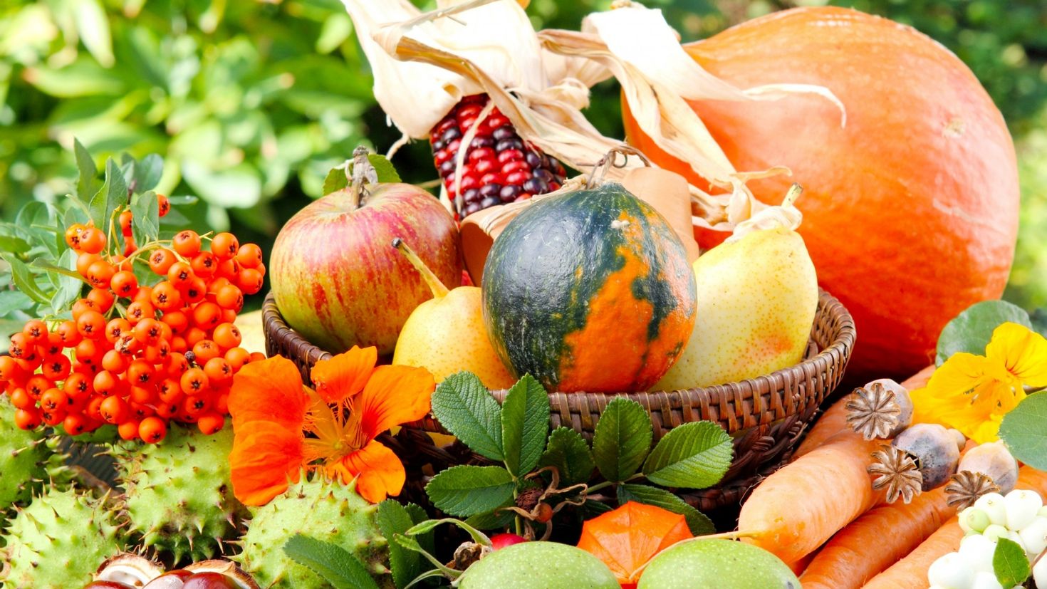 Сады фруктов овощей. Дары осени. Осенний урожай. Осенние овощи и фрукты. Овощи и фрукты осенью.