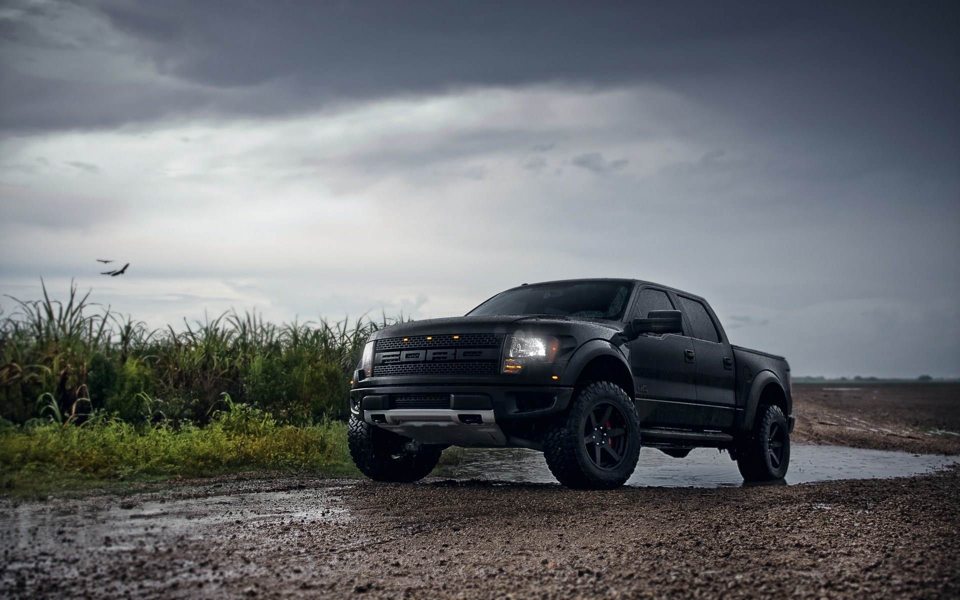 vehicles, ford raptor, ford Panoramic Wallpaper