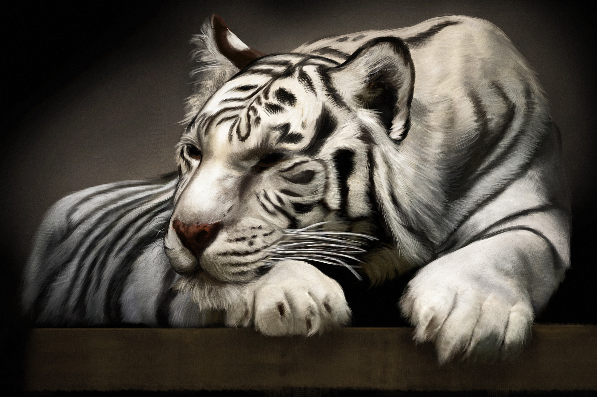Бенгальский тигр белый арт