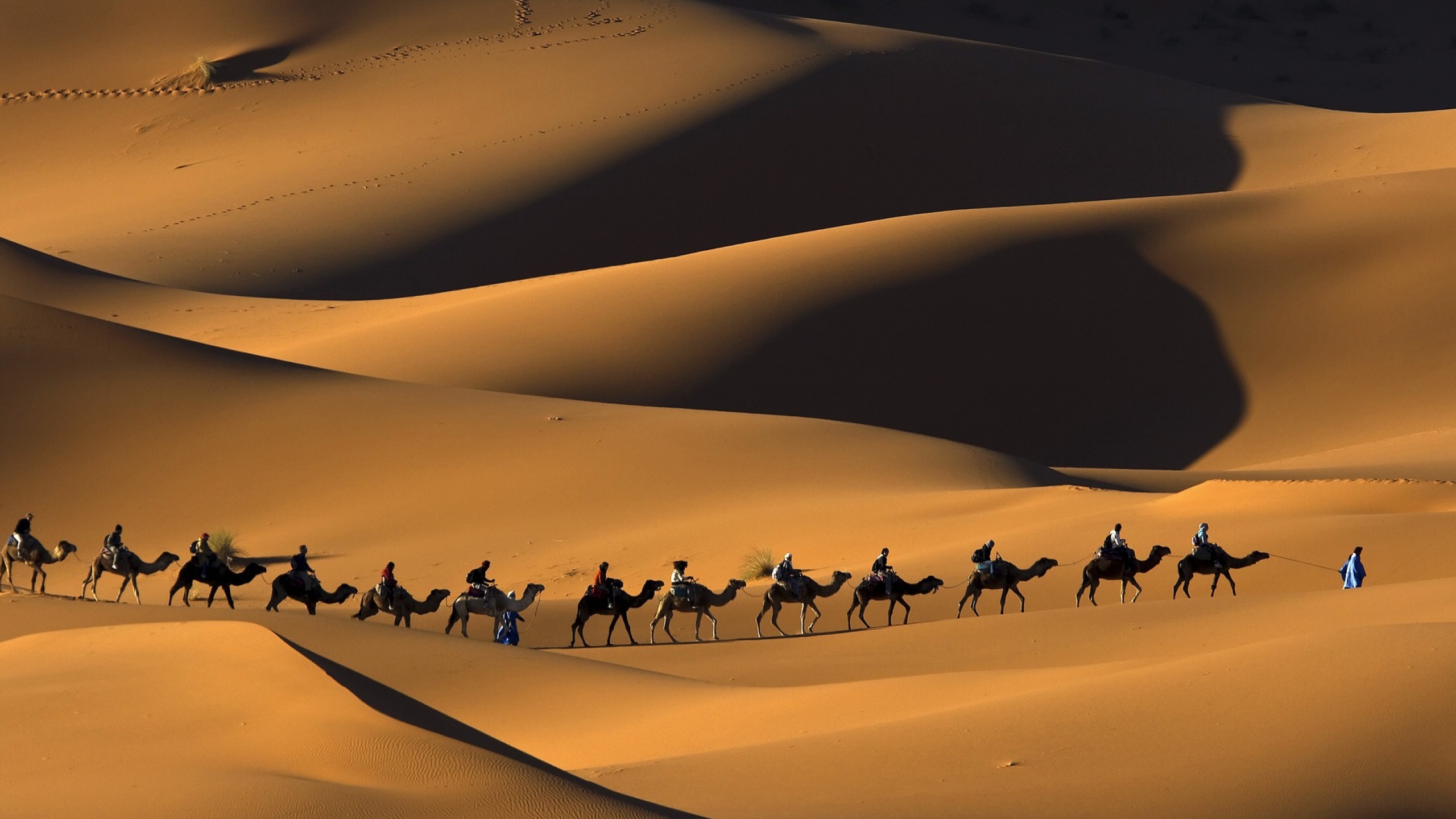 533681 Hintergrundbild herunterladen fotografie, wohnwagen, kamelkarawane, kamel, steppe, marokko, menschen, sand - Bildschirmschoner und Bilder kostenlos