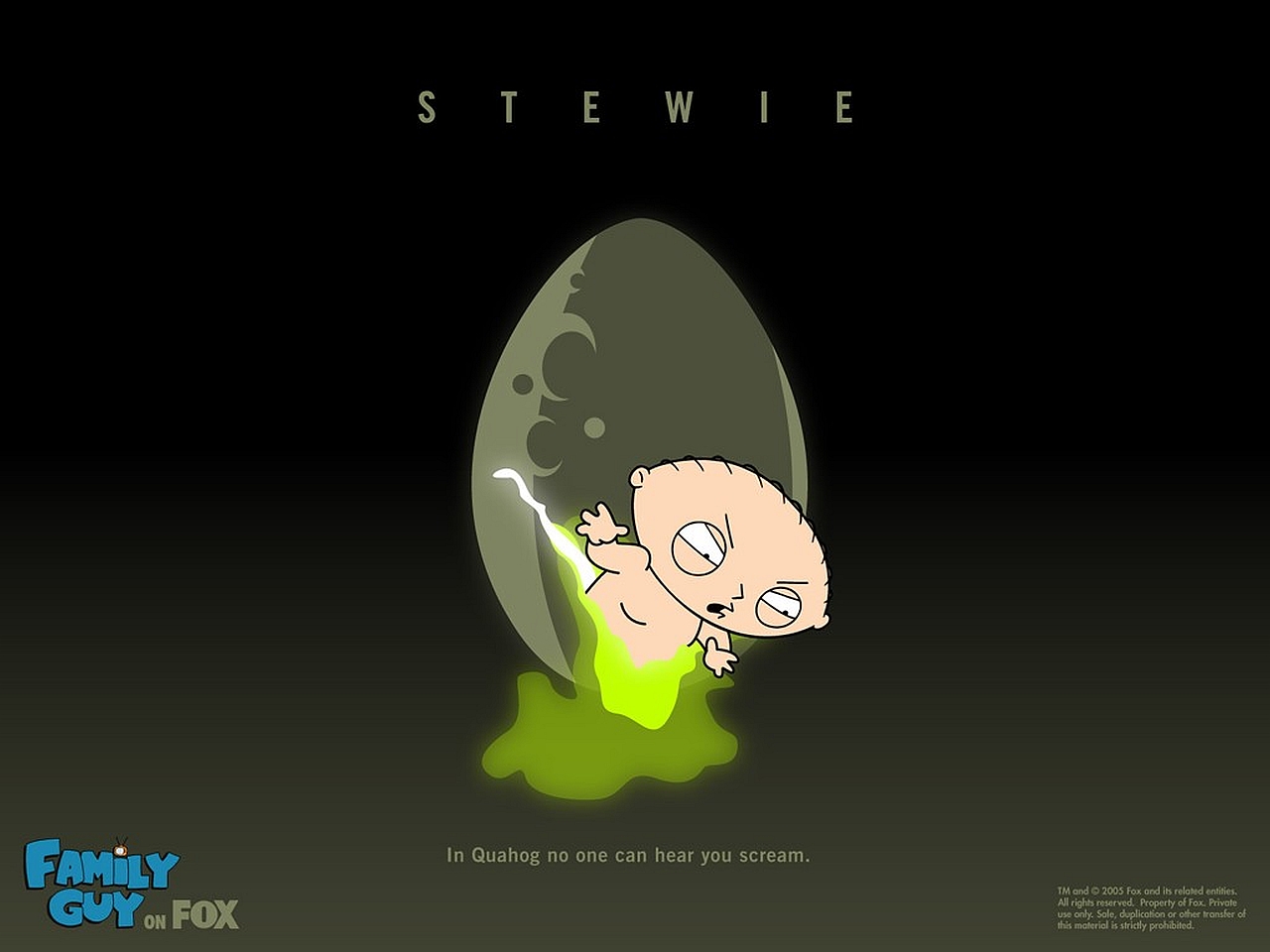 Stewie Griffin in Family Guy HD Wallpaper  HD Wallpapers