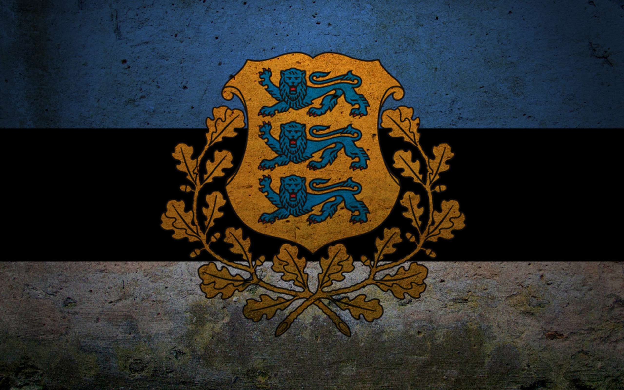 Скачать картинку Флаг Эстонии, Флаги, Разное в телефон бесплатно.