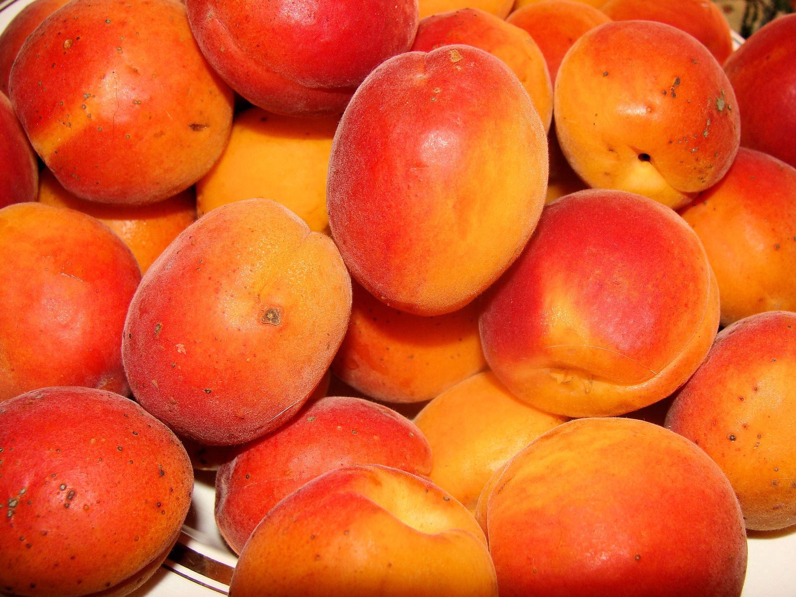 Free HD peaches, food, fruits, ripe, tasty, delicious, apricots