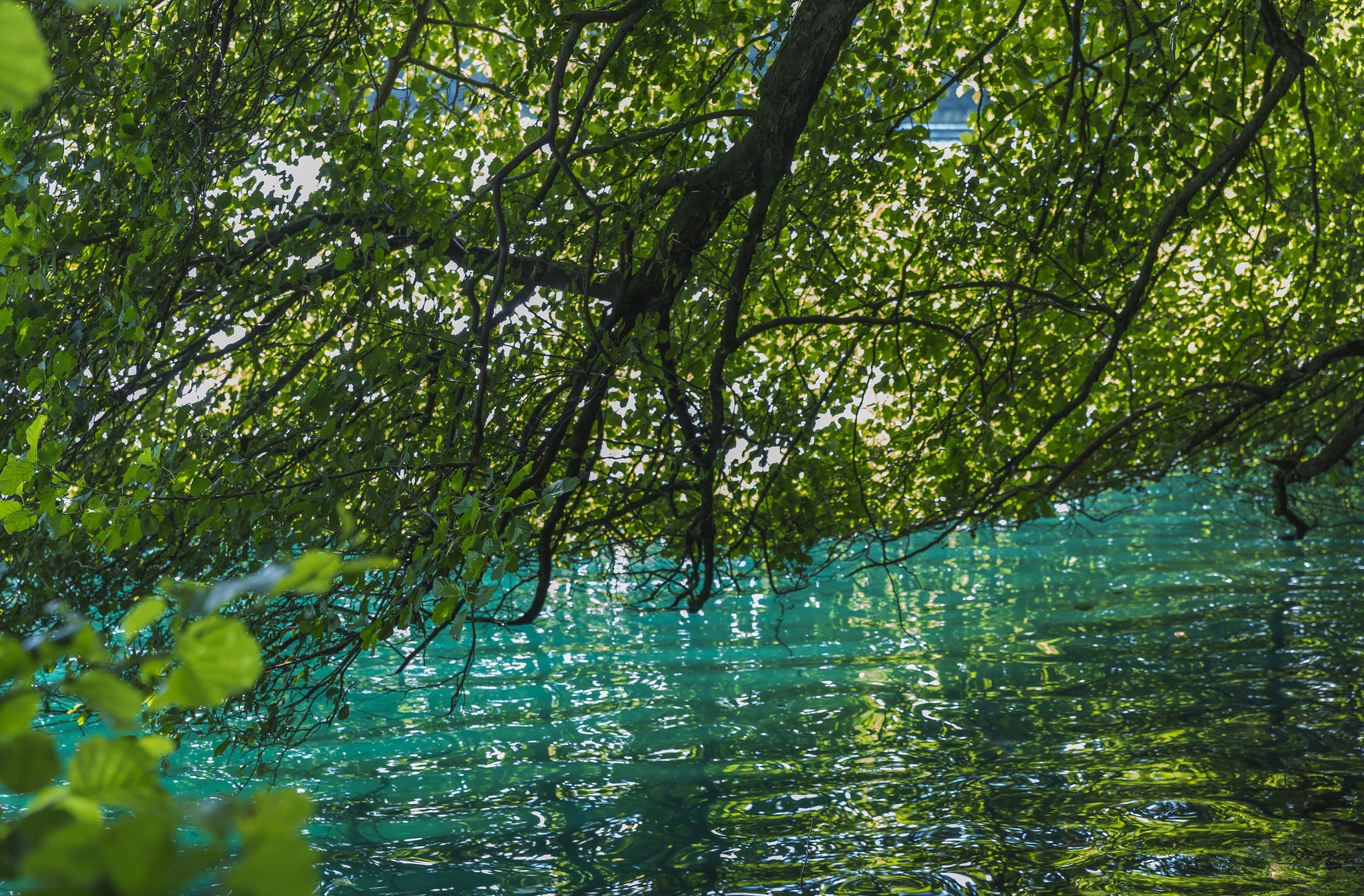 Фото лето вода