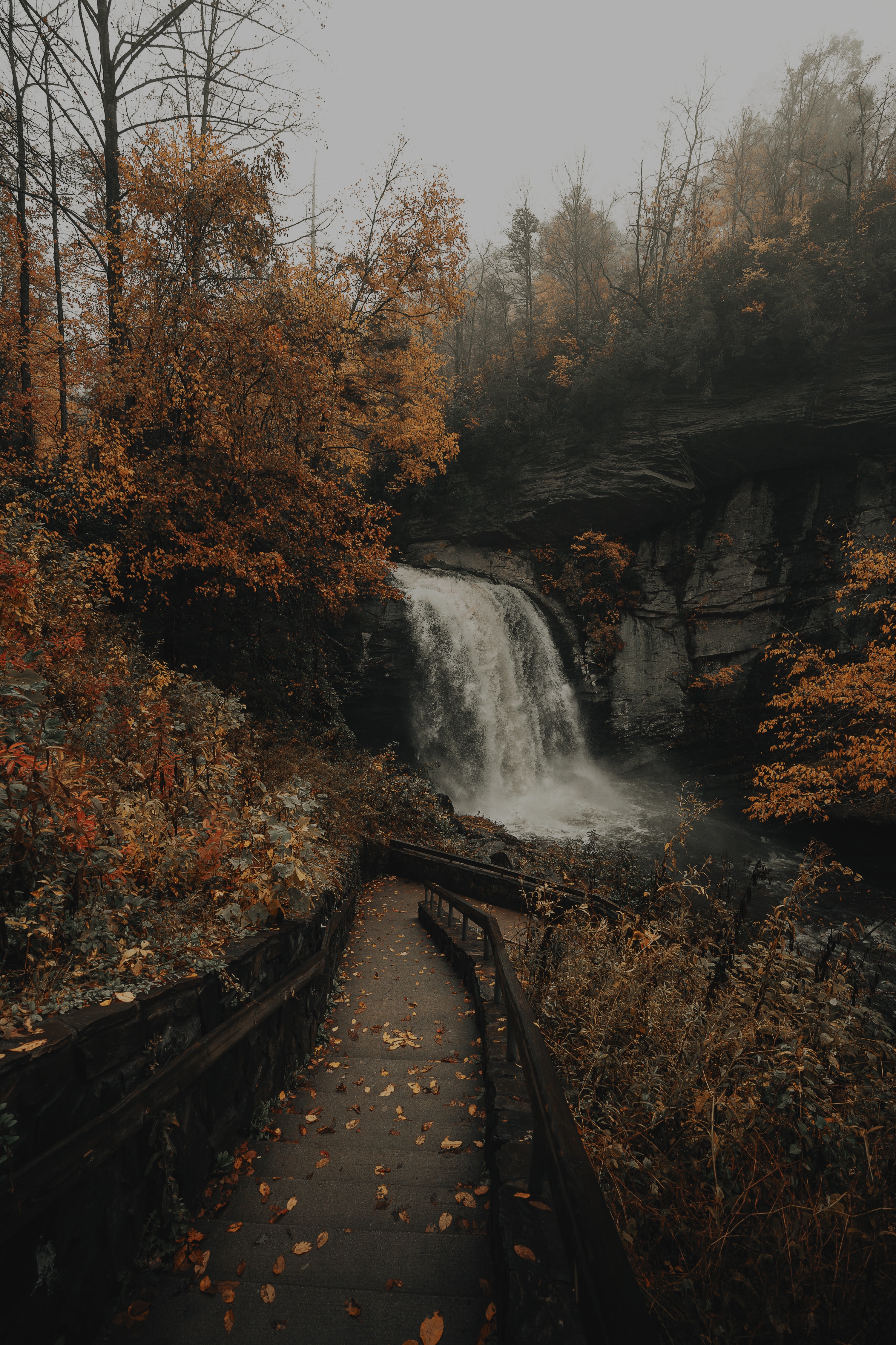Download mobile wallpaper Waterfall, Ladder, Rocks, Rivers, Trees, Nature, Stairs for free.