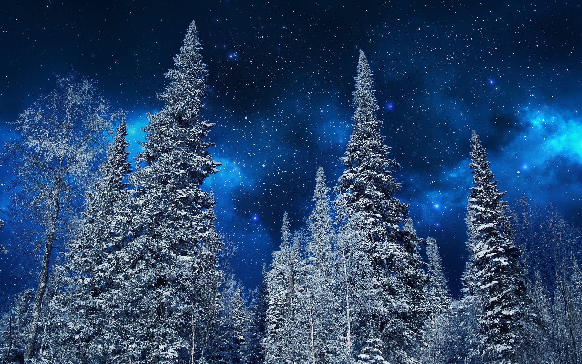 無料モバイル壁紙冬, 木, 雪, 森, 星空, 地球, 出演者, 空をダウンロードします。