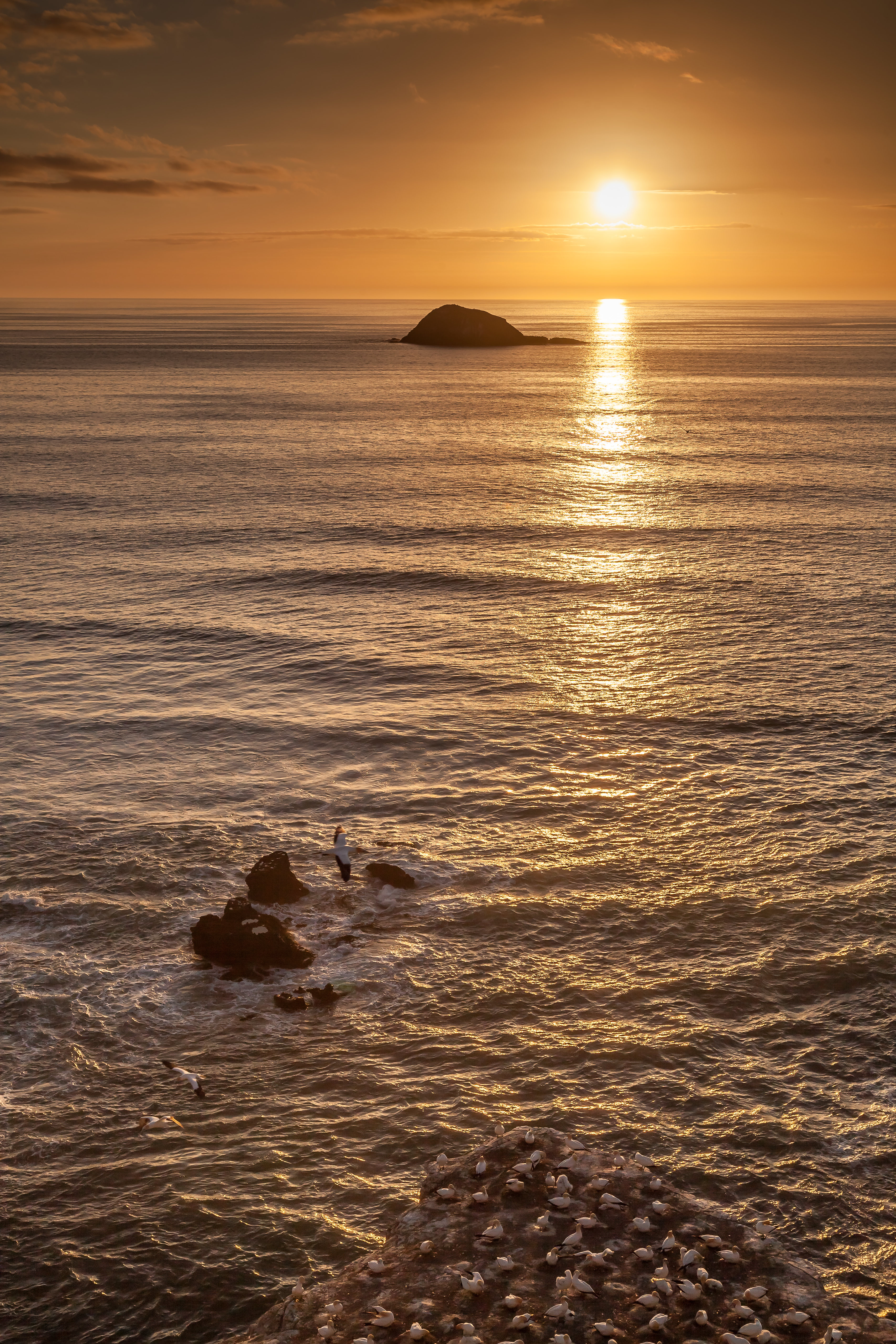 Laden Sie das Sunset, Felsen, Die Steine, Horizont, Natur, Seagulls-Bild kostenlos auf Ihren PC-Desktop herunter