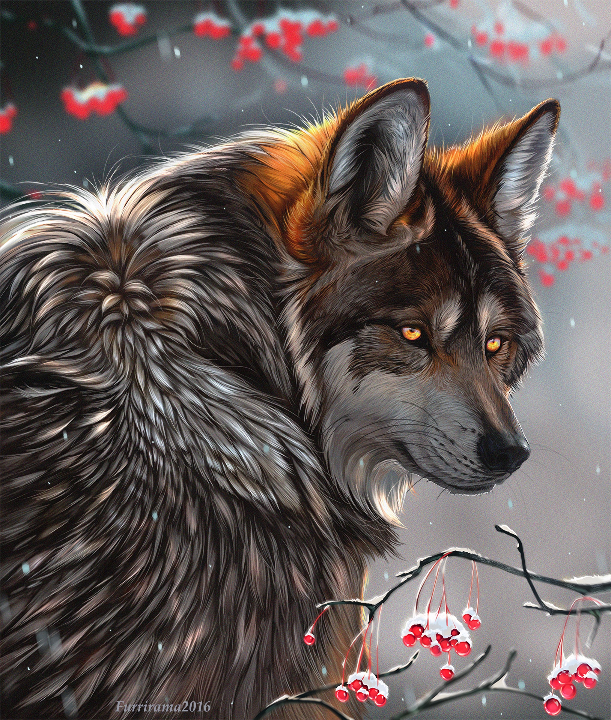 wolf, predator, berries, art, branches, sight, opinion 32K
