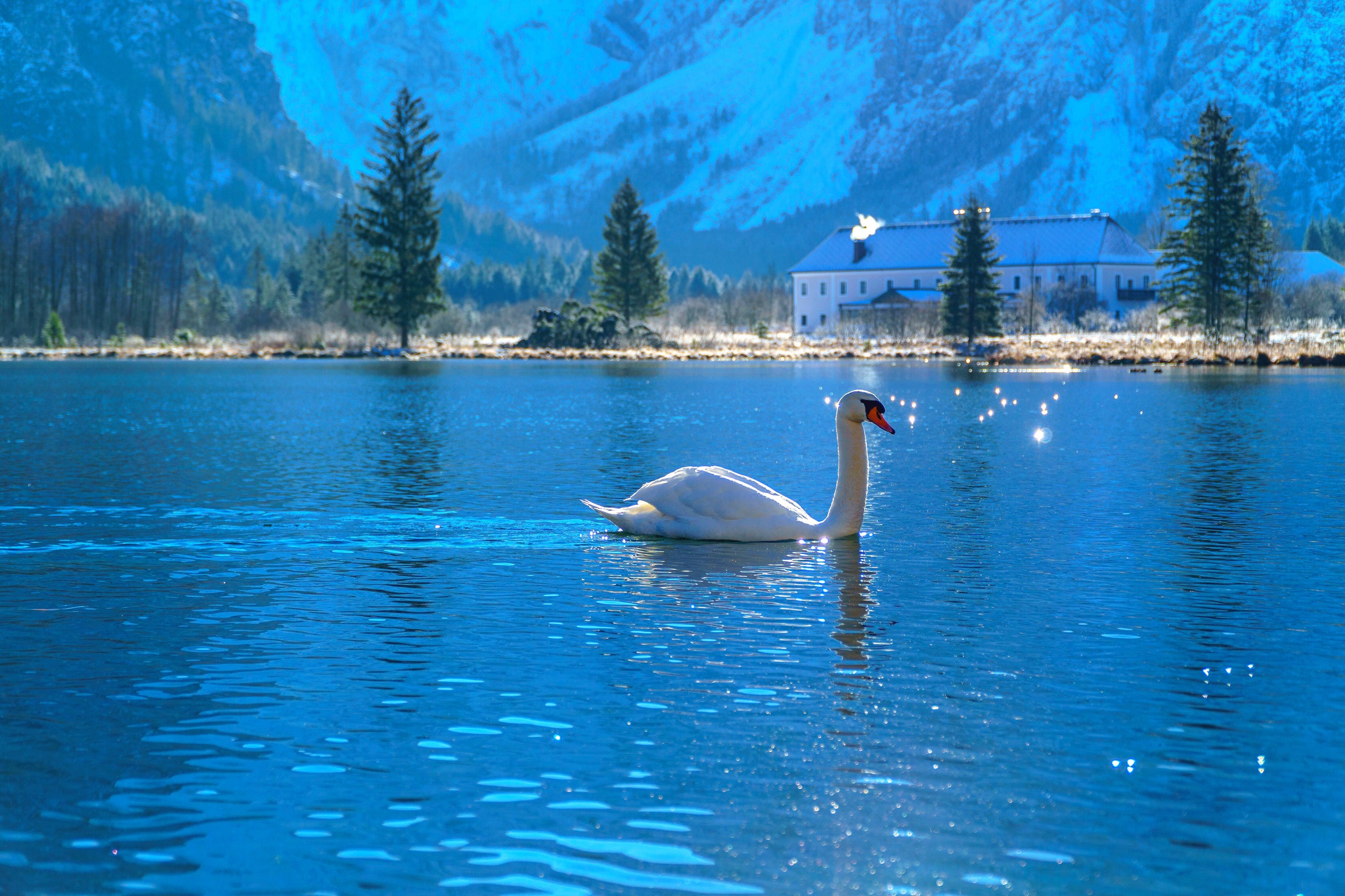 Озеро Бурже замок лебедь