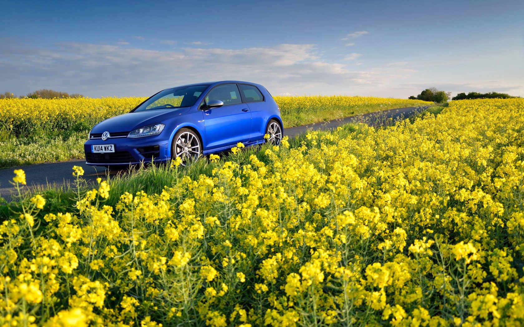 Download mobile wallpaper Golf R, Mk7, Field, Flowers, Cars, Volkswagen for free.