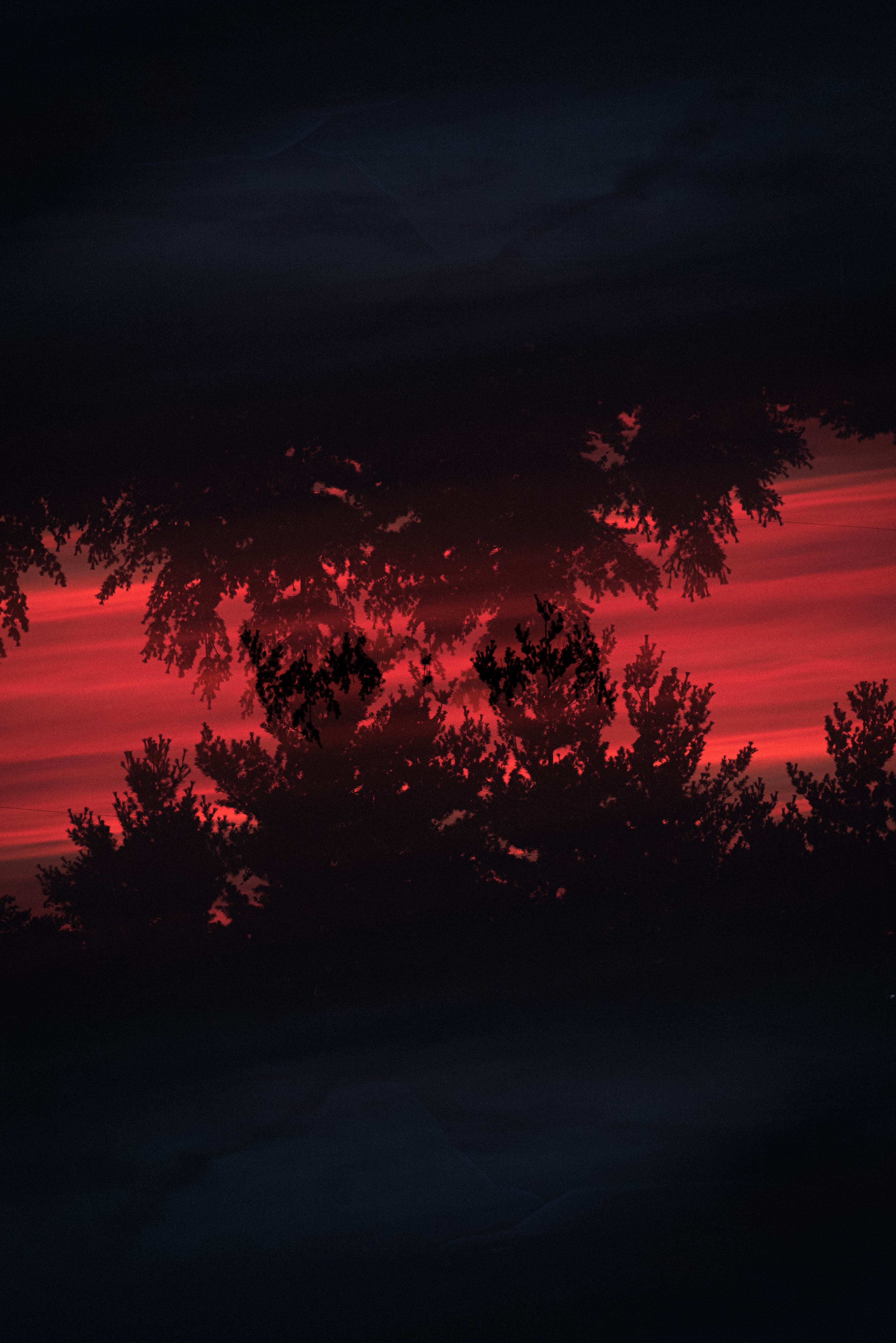 Free download wallpaper Trees, Bush, Reflection, Silhouette, Dark on your PC desktop
