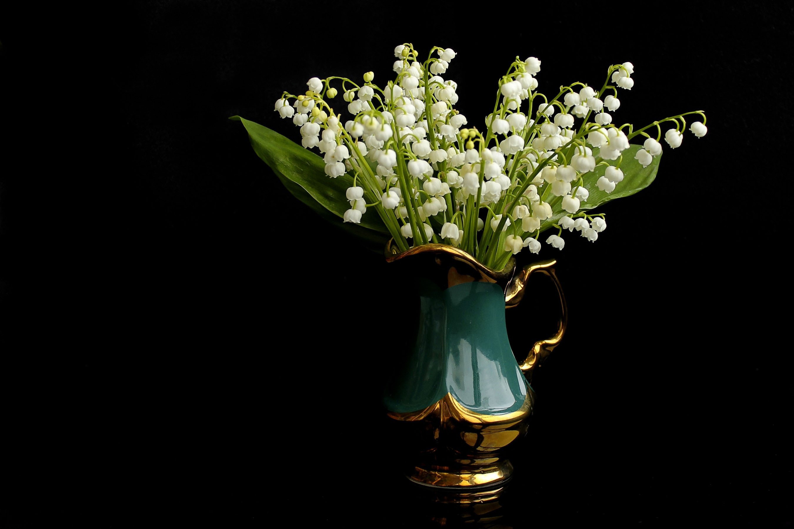 Full HD Wallpaper man made, flower, lily of the valley, pitcher, white flower