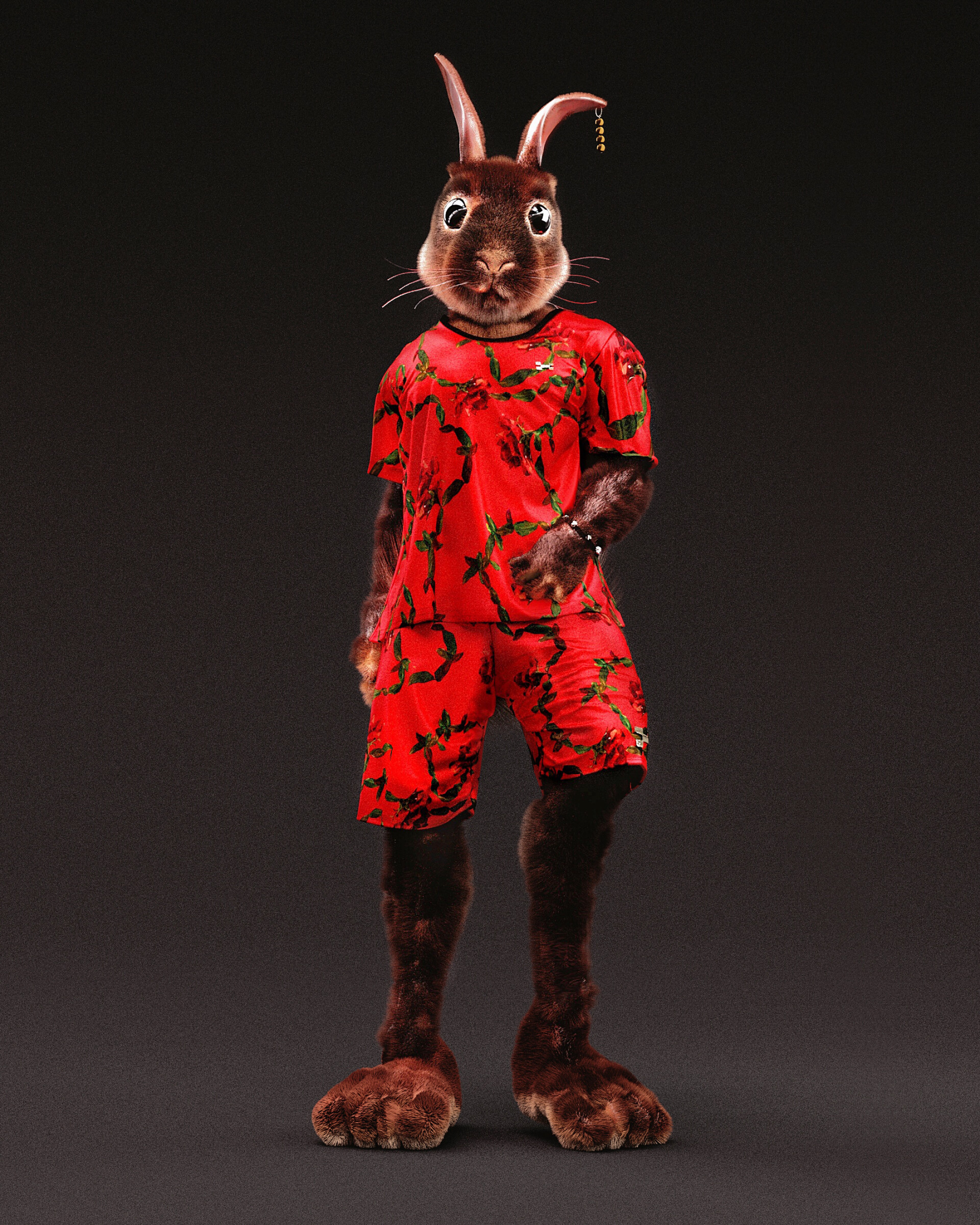 rabbit, art, cool, style
