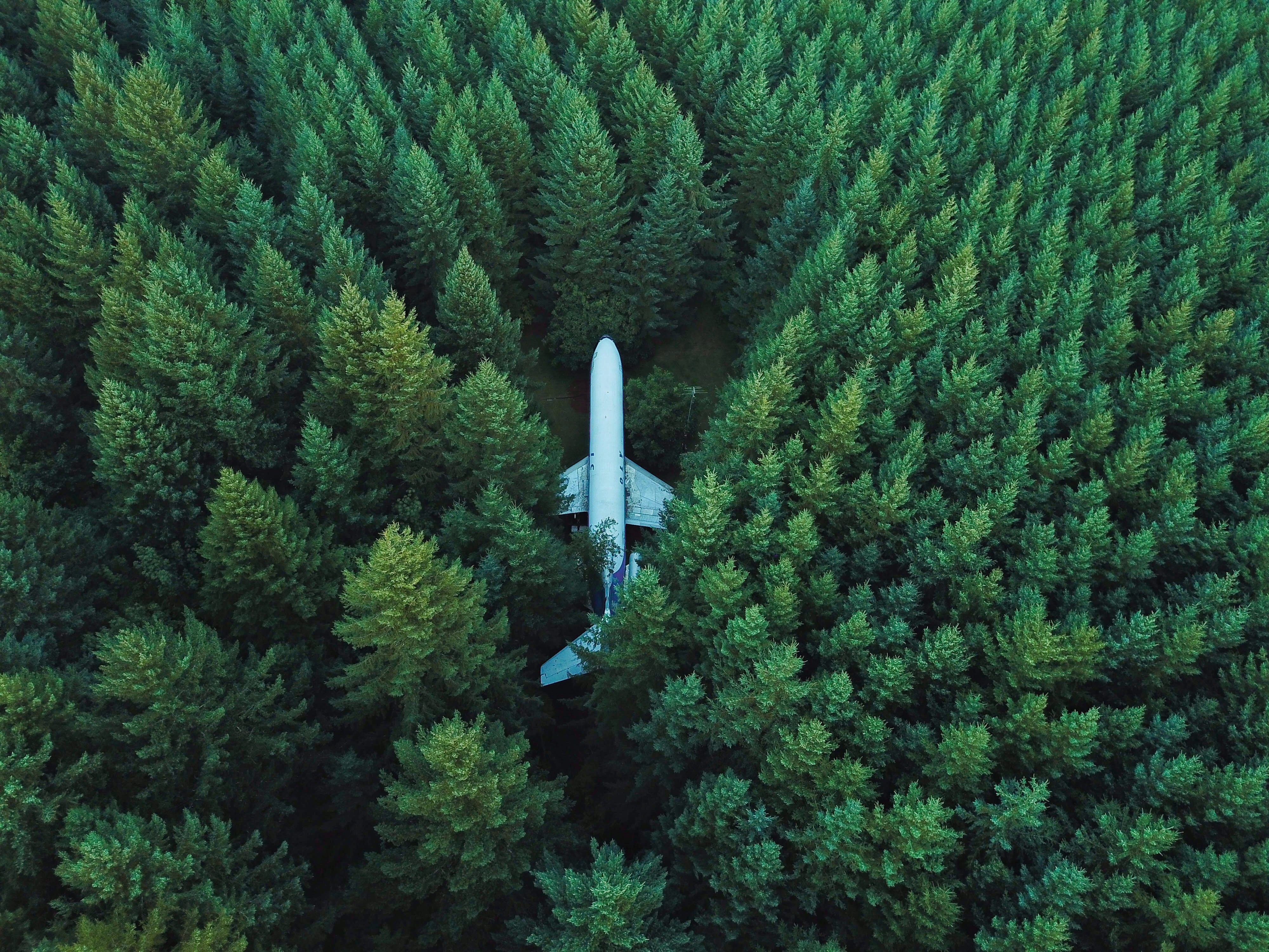 trees, plane, miscellanea, view from above, miscellaneous, airplane