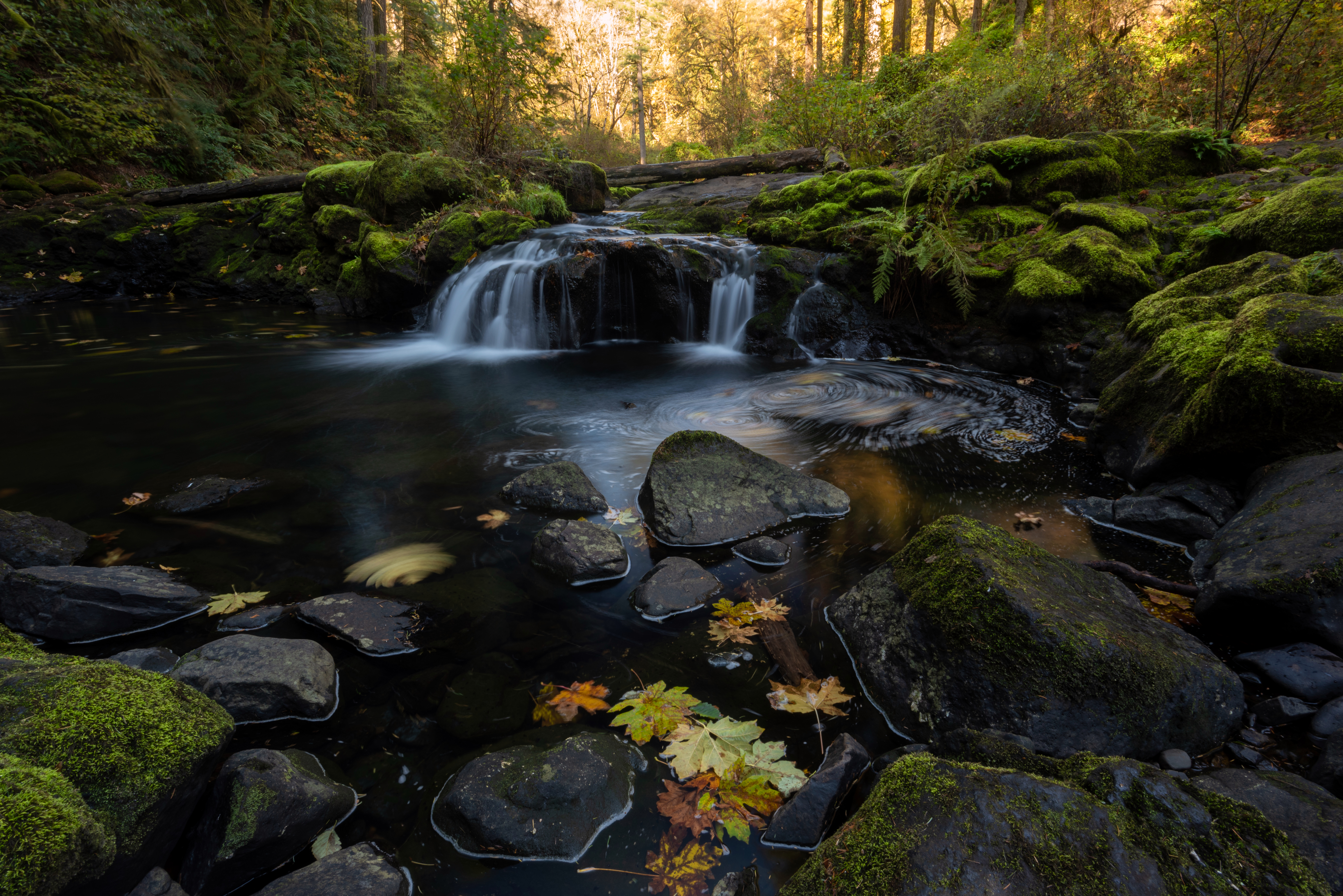forest, nature, water, stones, autumn, creek, brook Full HD