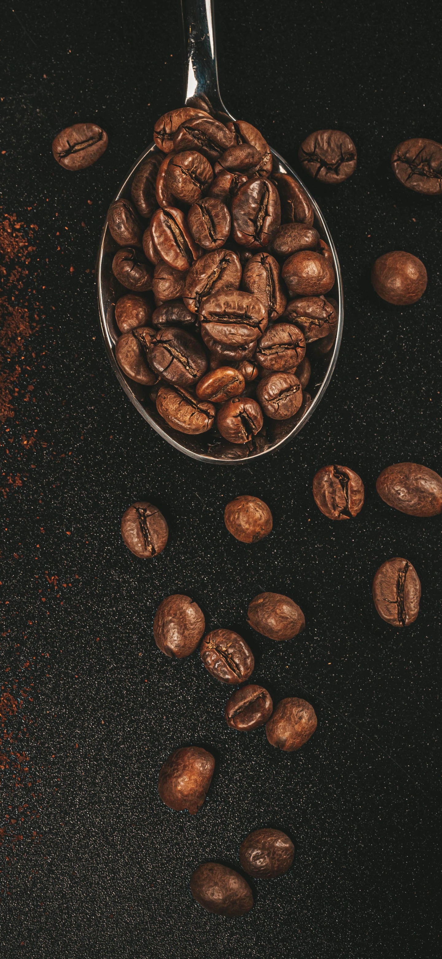 Download mobile wallpaper Food, Coffee, Still Life, Coffee Beans for free.