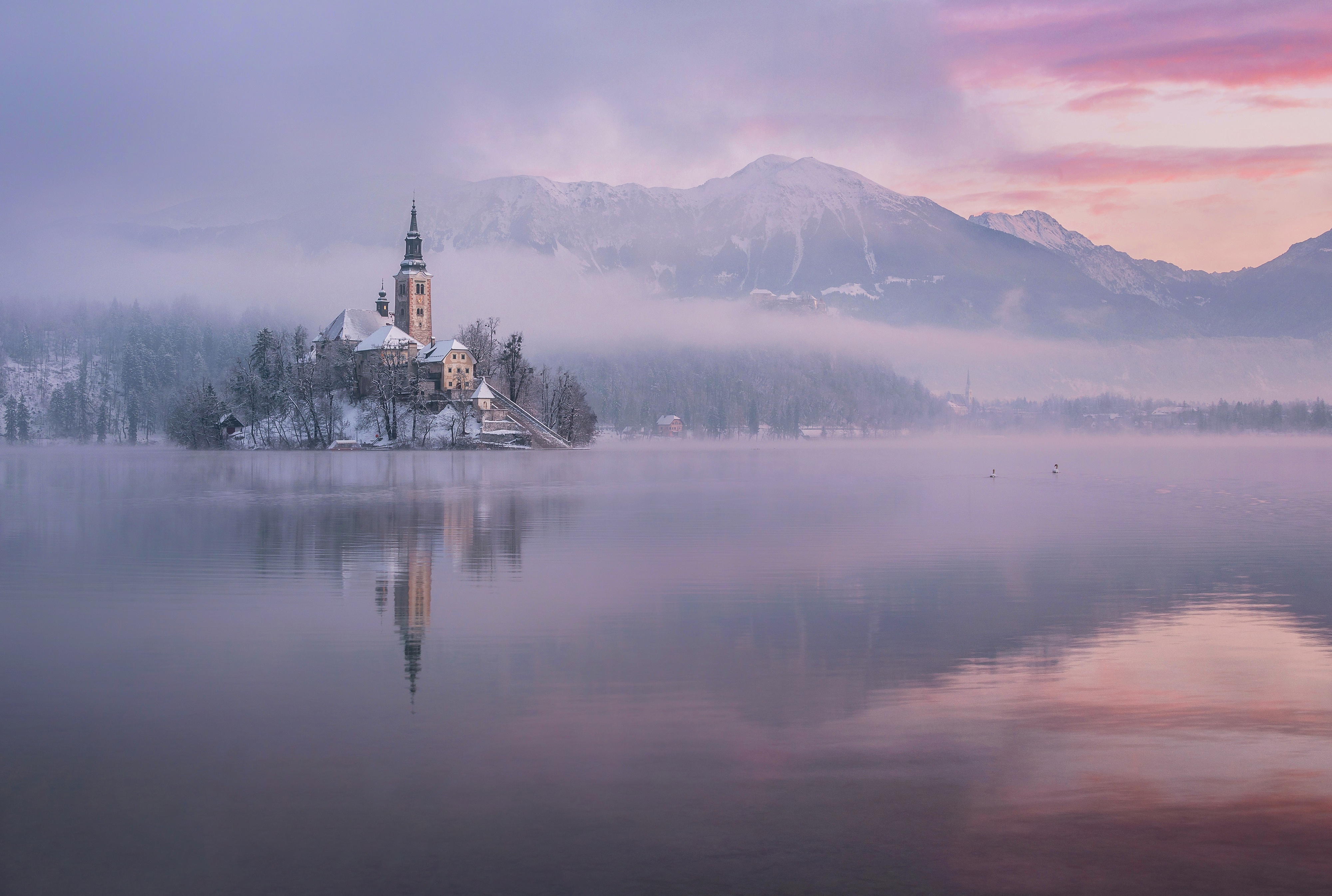 religious, assumption of mary church, lake bled, slovenia, churches images