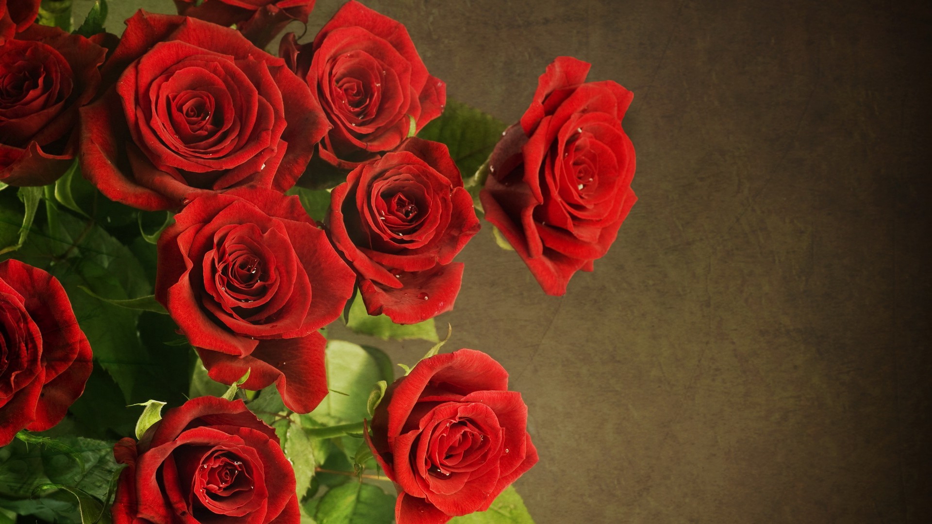 Красные Розы Обои