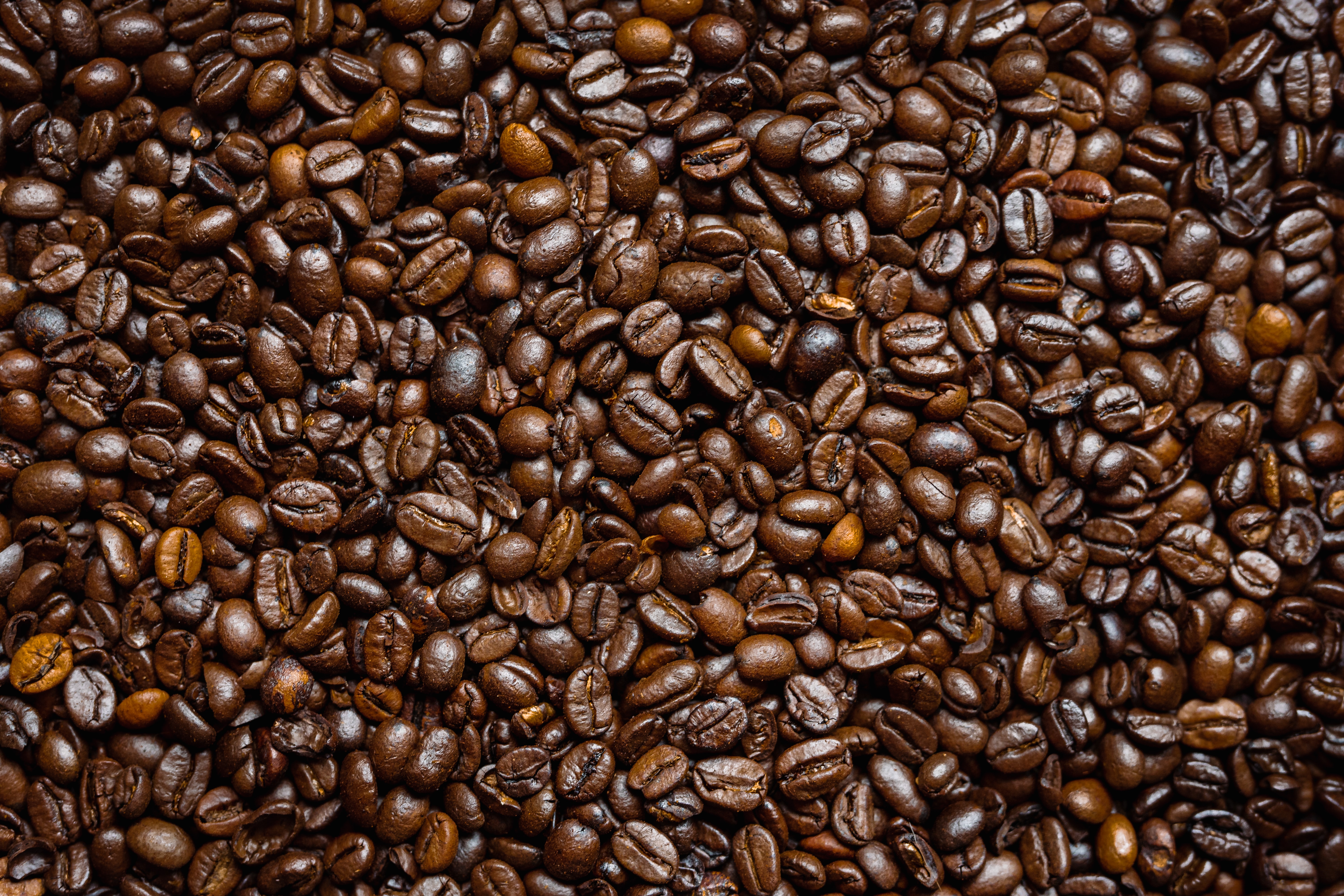 Laden Sie das Lebensmittel, Korn, Braun, Getreide, Coffee, Kaffeebohnen-Bild kostenlos auf Ihren PC-Desktop herunter