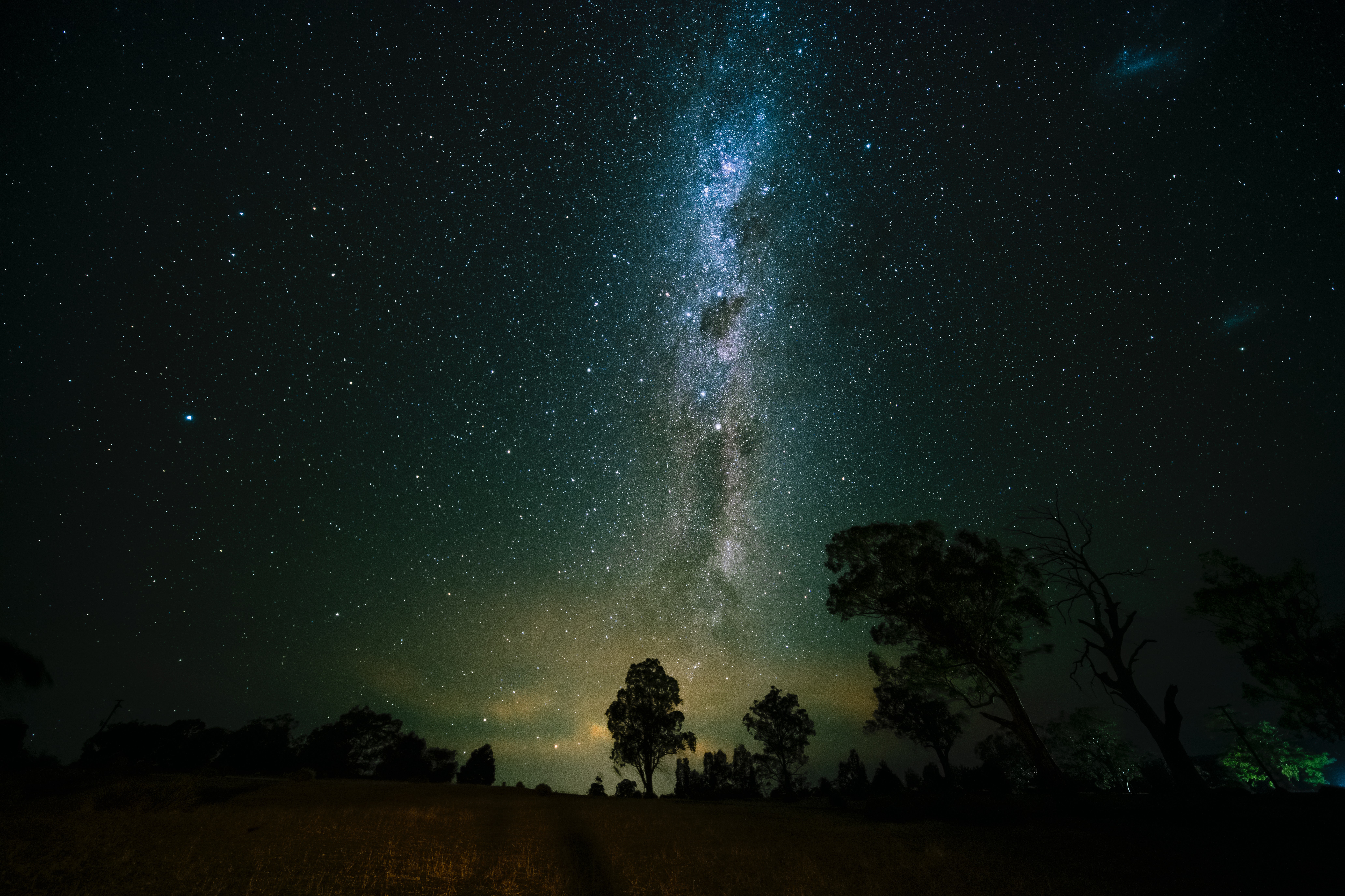 universe, trees, nature, starry sky High Definition image