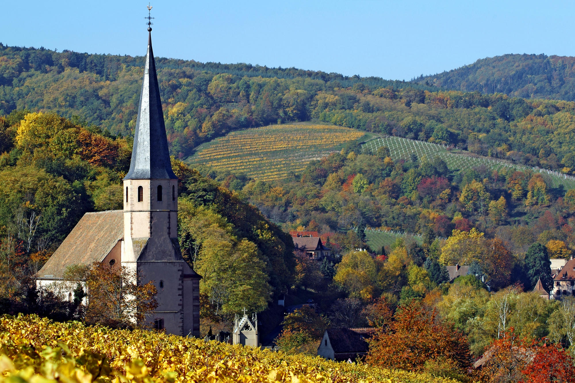 France les. Церкви в Эльзасе. Франция Эльзас осень. Андлау Франция. Лес на юге Франции.