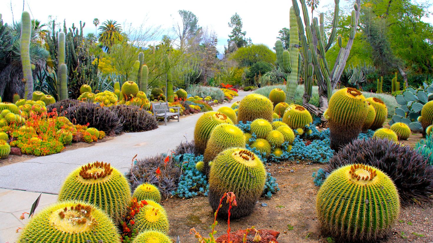 Ботанический сад Botanical Garden