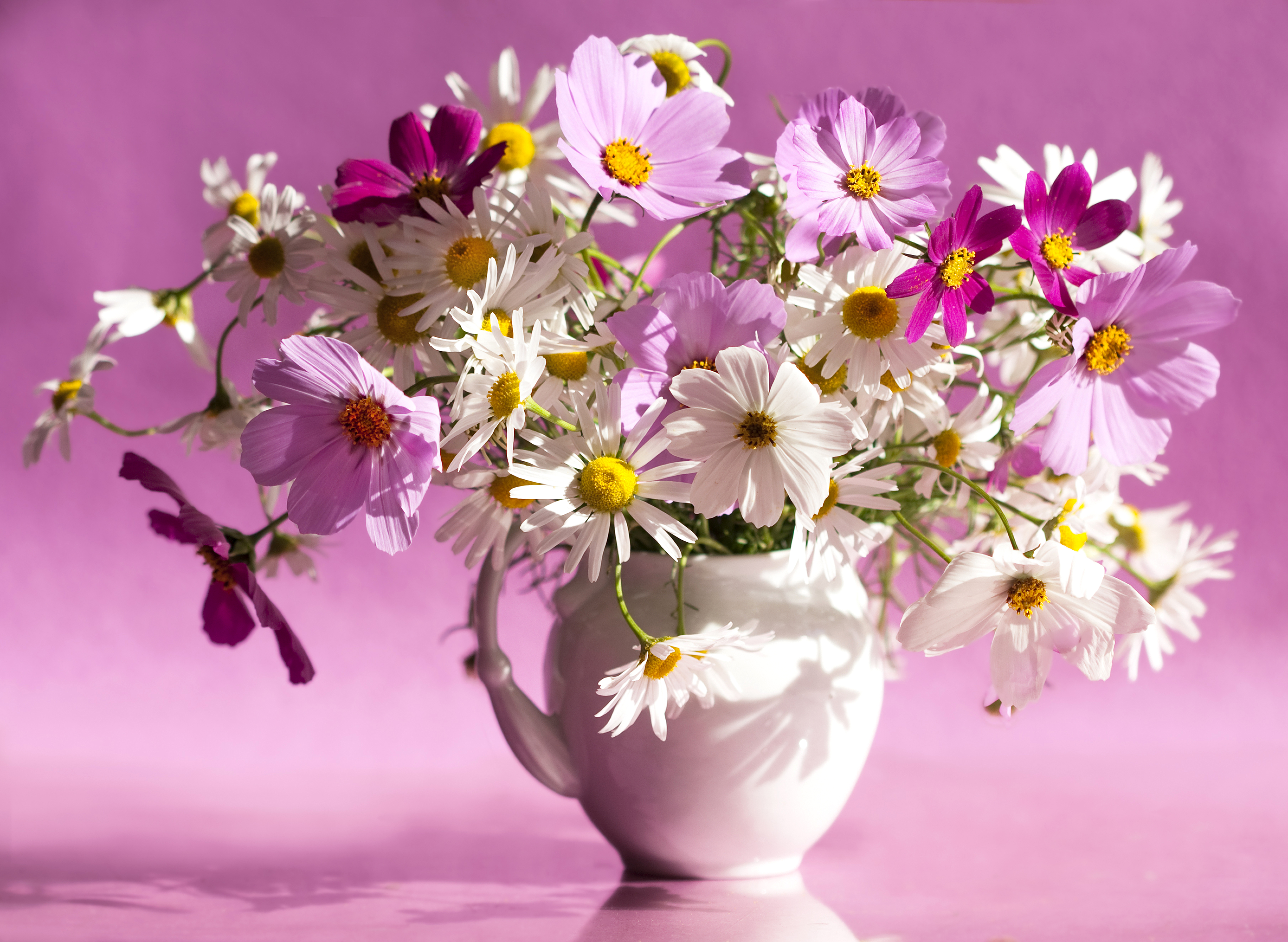 1525127 免費下載壁紙 人造, 插花, 波斯菊, 粉红色的花, 投手, 白色的花 屏保和圖片