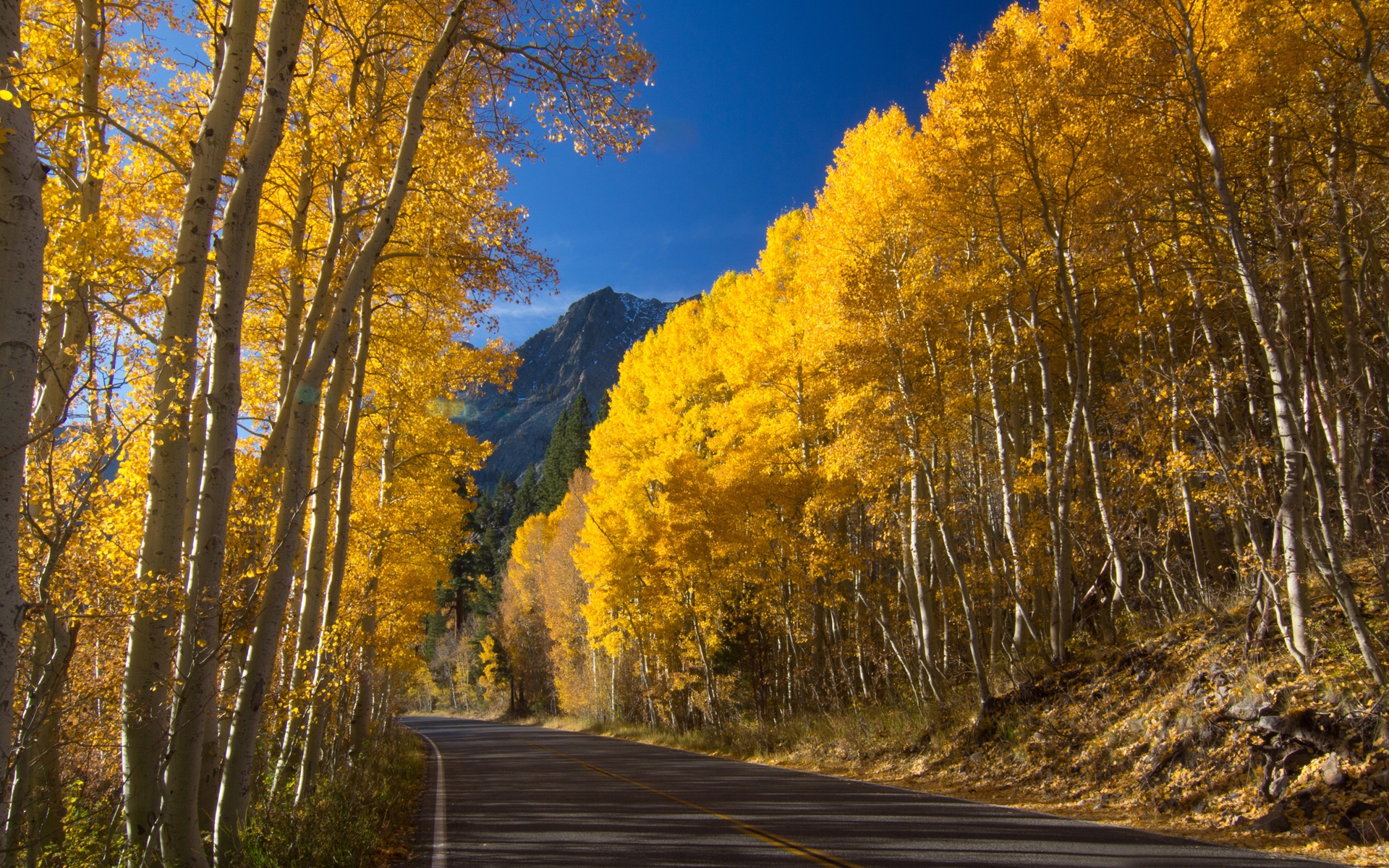 無料モバイル壁紙道路, 風景, 秋をダウンロードします。